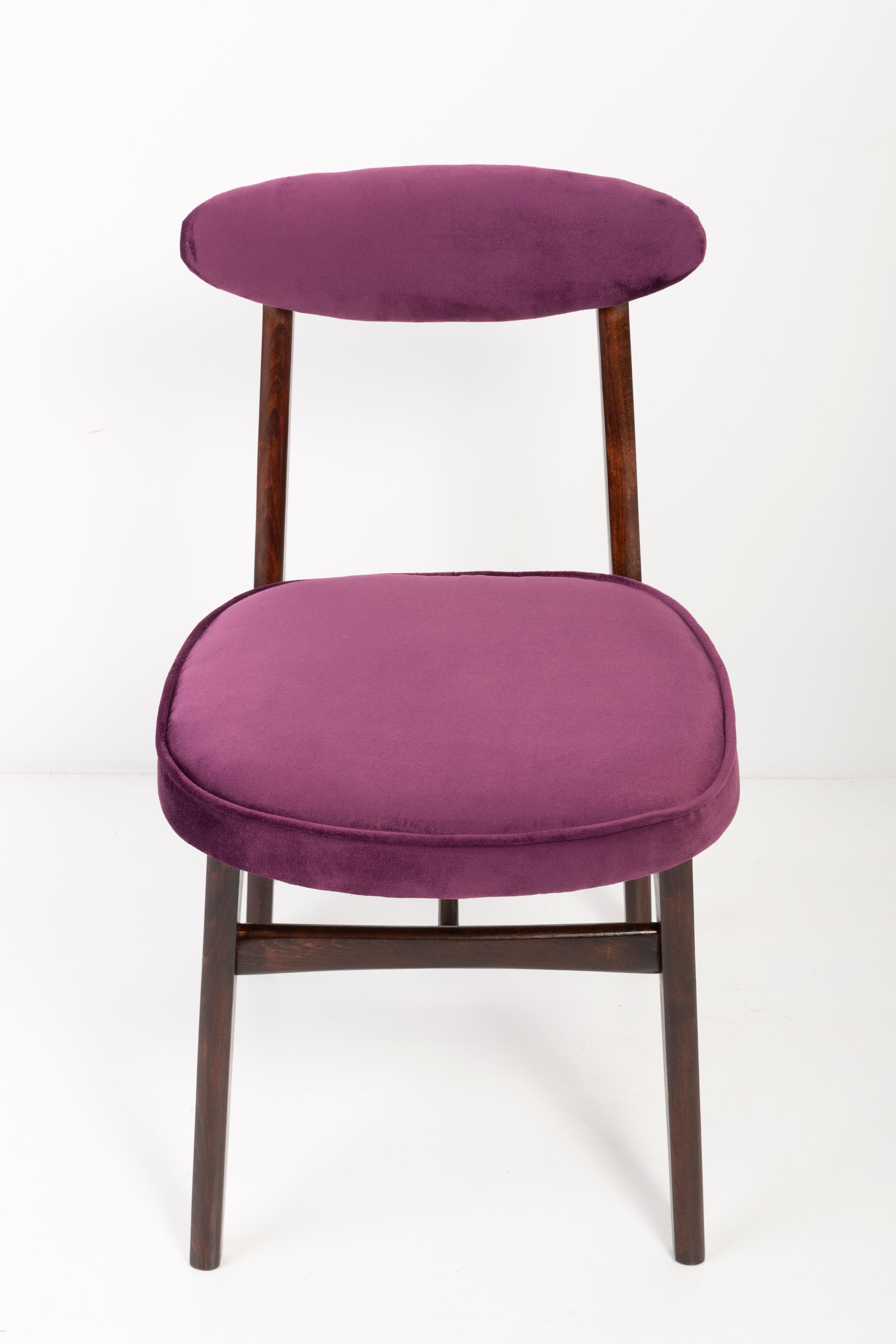 20th Century Plum Violet Velvet Rajmund Halas Chair, 1960s In Excellent Condition For Sale In 05-080 Hornowek, PL
