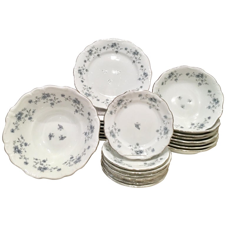 20th Century Porcelain and Platinum German Dinnerware S/25 By, Haviland