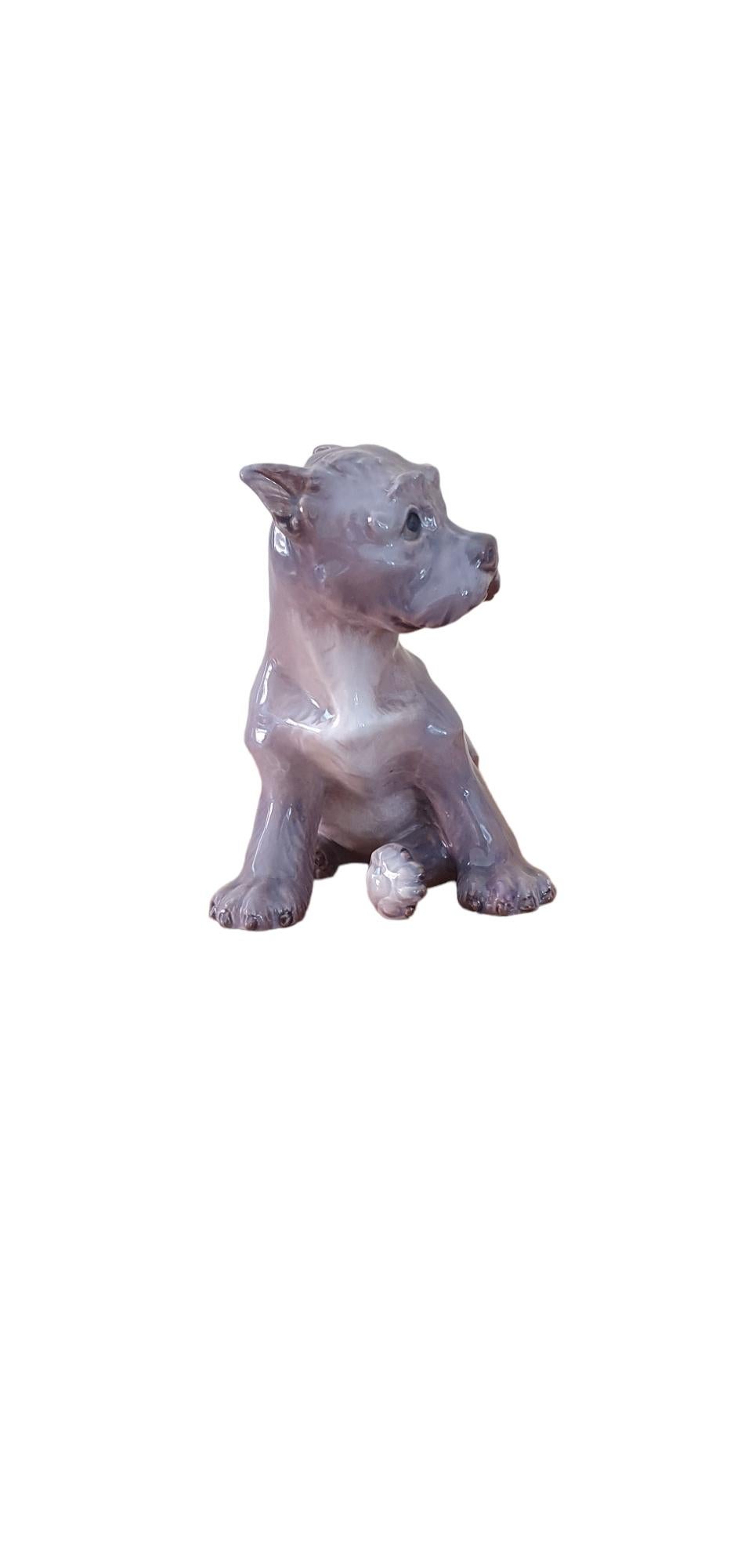 Beautiful Schnauzer Puppy, no. 1095, by Dahl Jensen. In excellent condition, this puppy is a fantastic example of why Dahl Jensen is one of the most sought after figurine makers. The attention to detail and emotion depicted in this figurine, makes