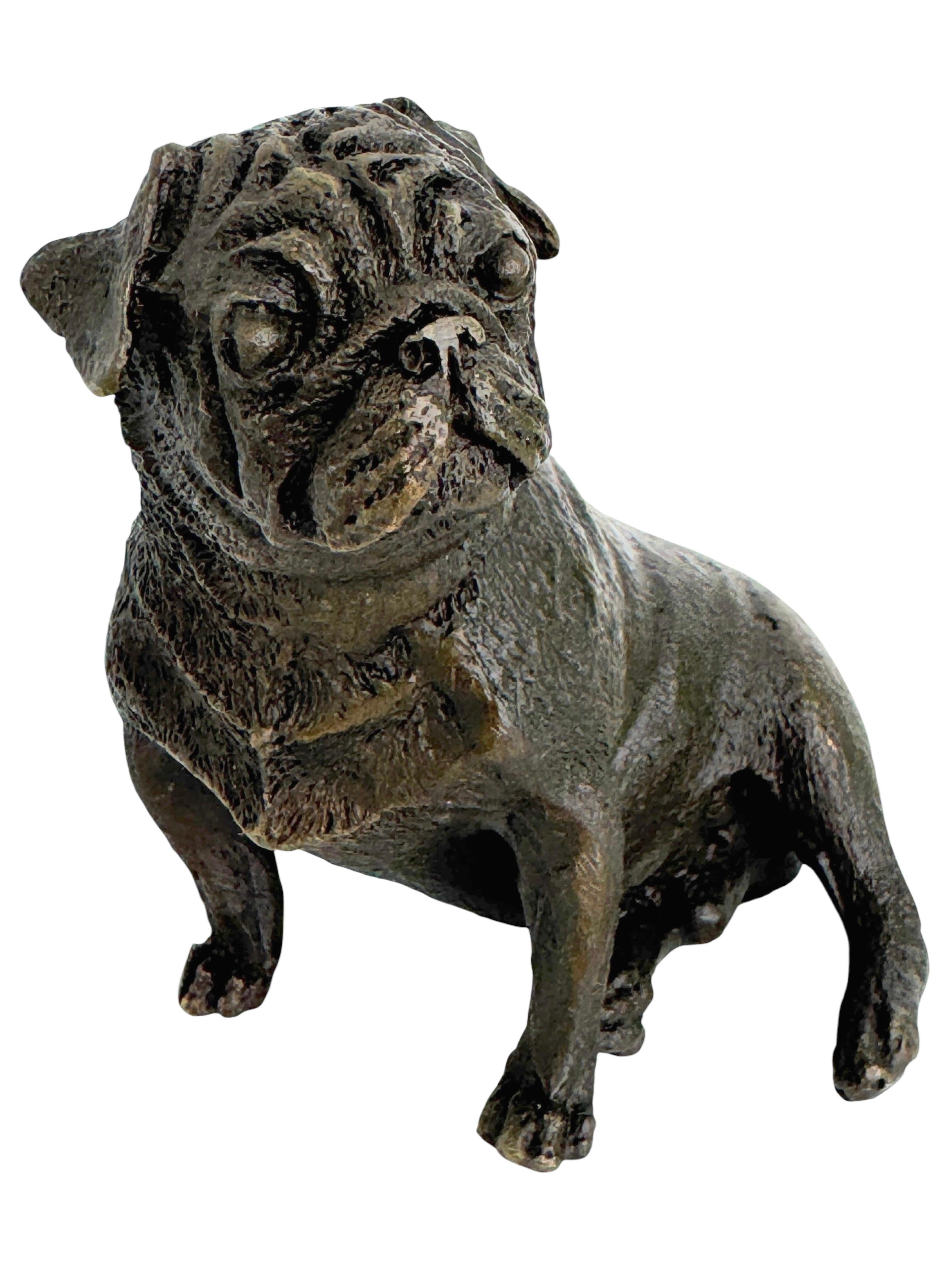 Art nouveau 20ème siècle Chien Carlin Autrichien Figurine Miniature Statue 1950s France en vente