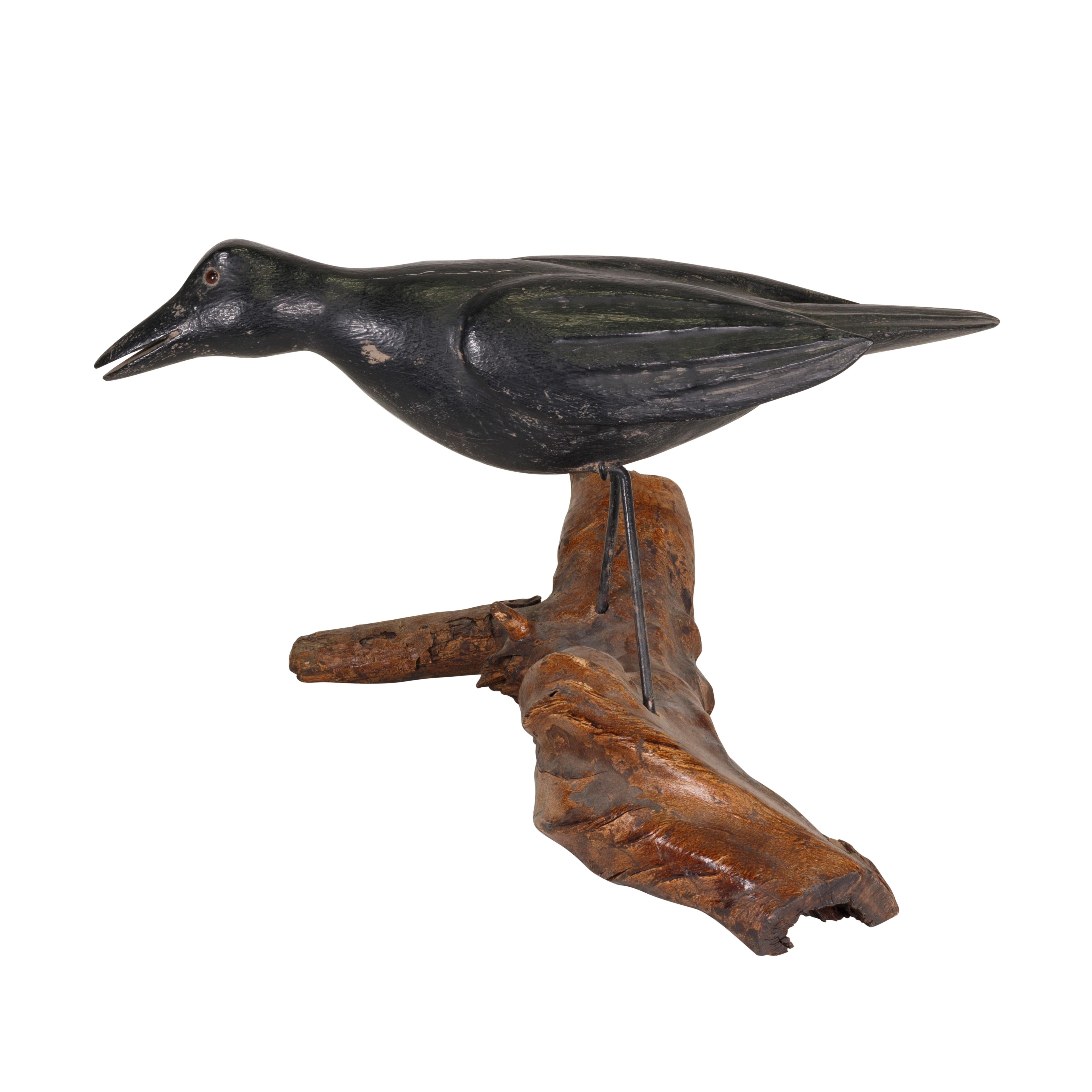 Late 20th Century carved raven decoy with glass eyes, iron legs, mounted on a driftwood stand. Carved and painted by Dallas Valley, Prairie du Chien, WI. Bottom marked 