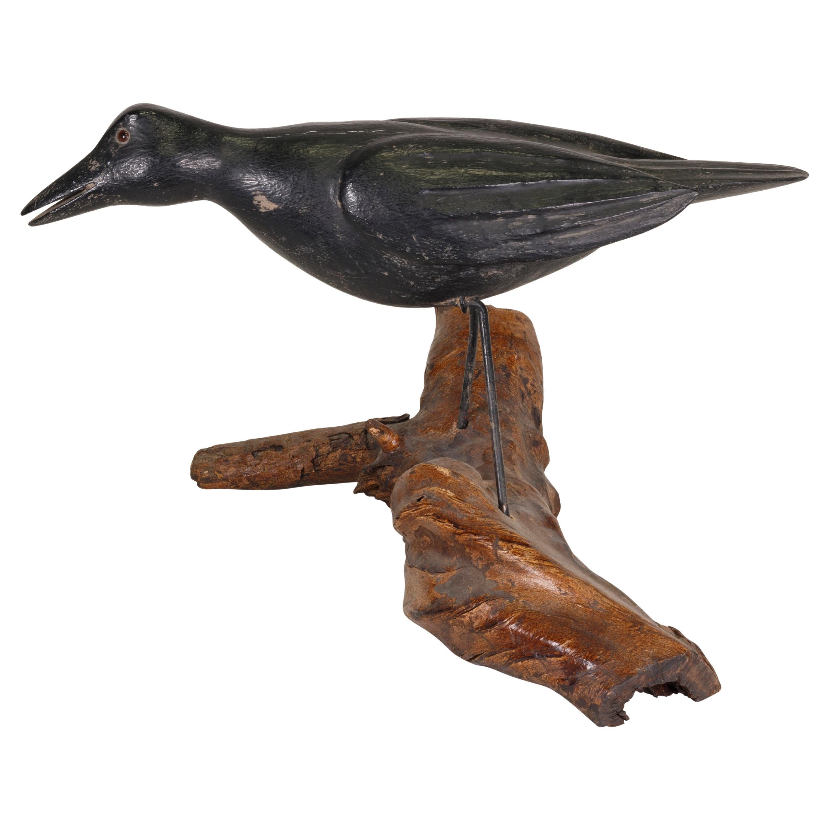 20th Century Raven Decoy