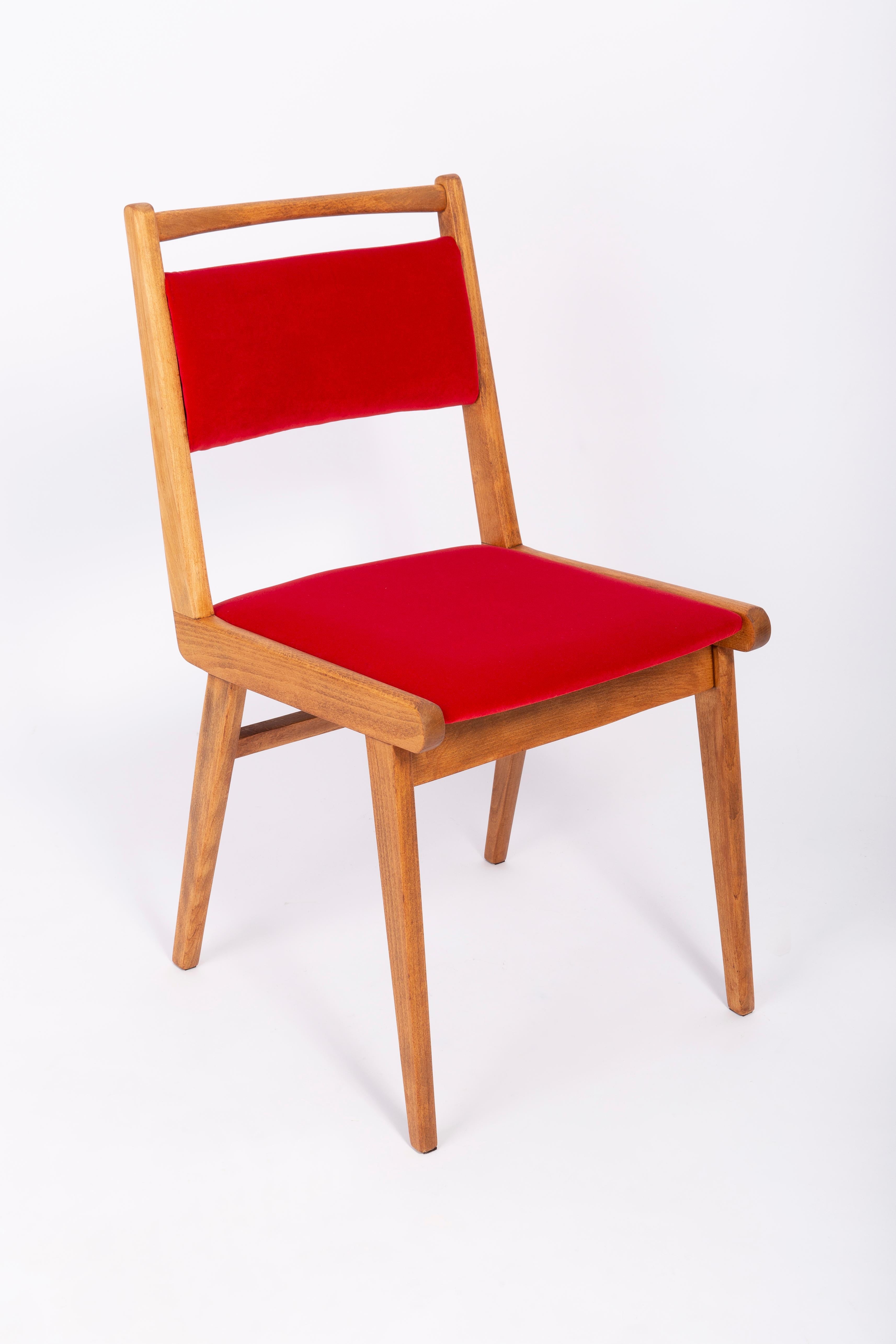 Stuhl entworfen von Prof. Rajmund Halas. Es handelt sich um ein Modell vom Typ JAR. Hergestellt aus Buchenholz. Der Stuhl wurde komplett neu gepolstert, die Holzarbeiten wurden aufgefrischt. Sitz und Rückenlehne sind mit rotem, strapazierfähigem und
