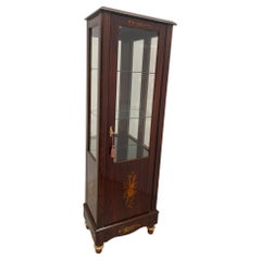 20th Century Regency Rosewood Vitrine