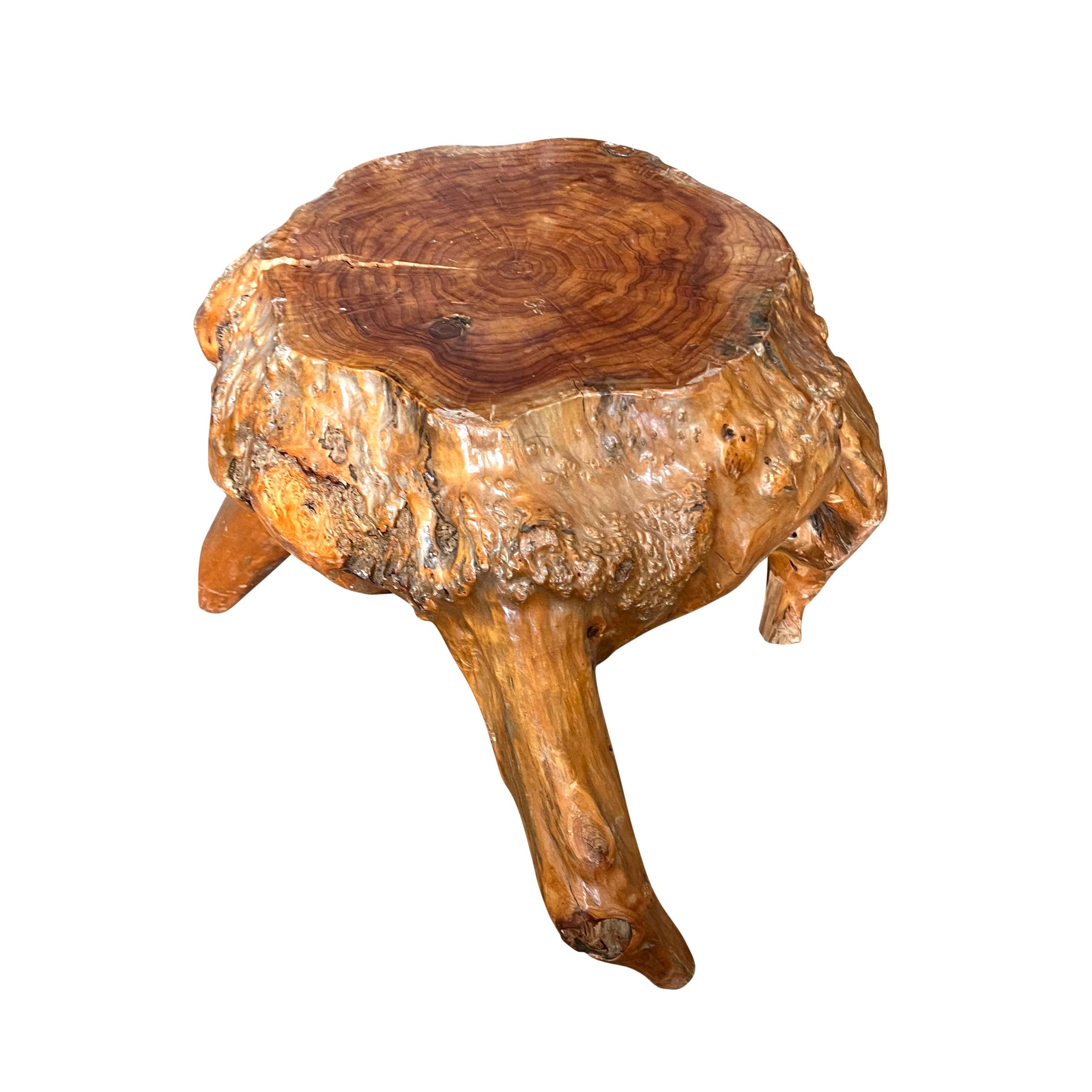 20th Century Rootwood Stool In Good Condition For Sale In Chicago, IL