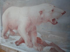 20th Century School Print of Ice Bear and Reindeer 'Double-Sided'