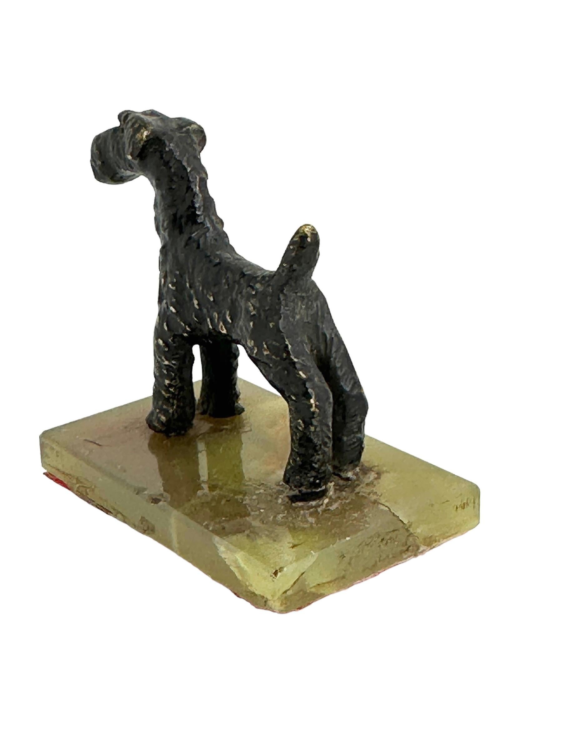 Art Déco Cane Scotty del XX secolo, miniatura in bronzo di Vienna austriaca in vendita