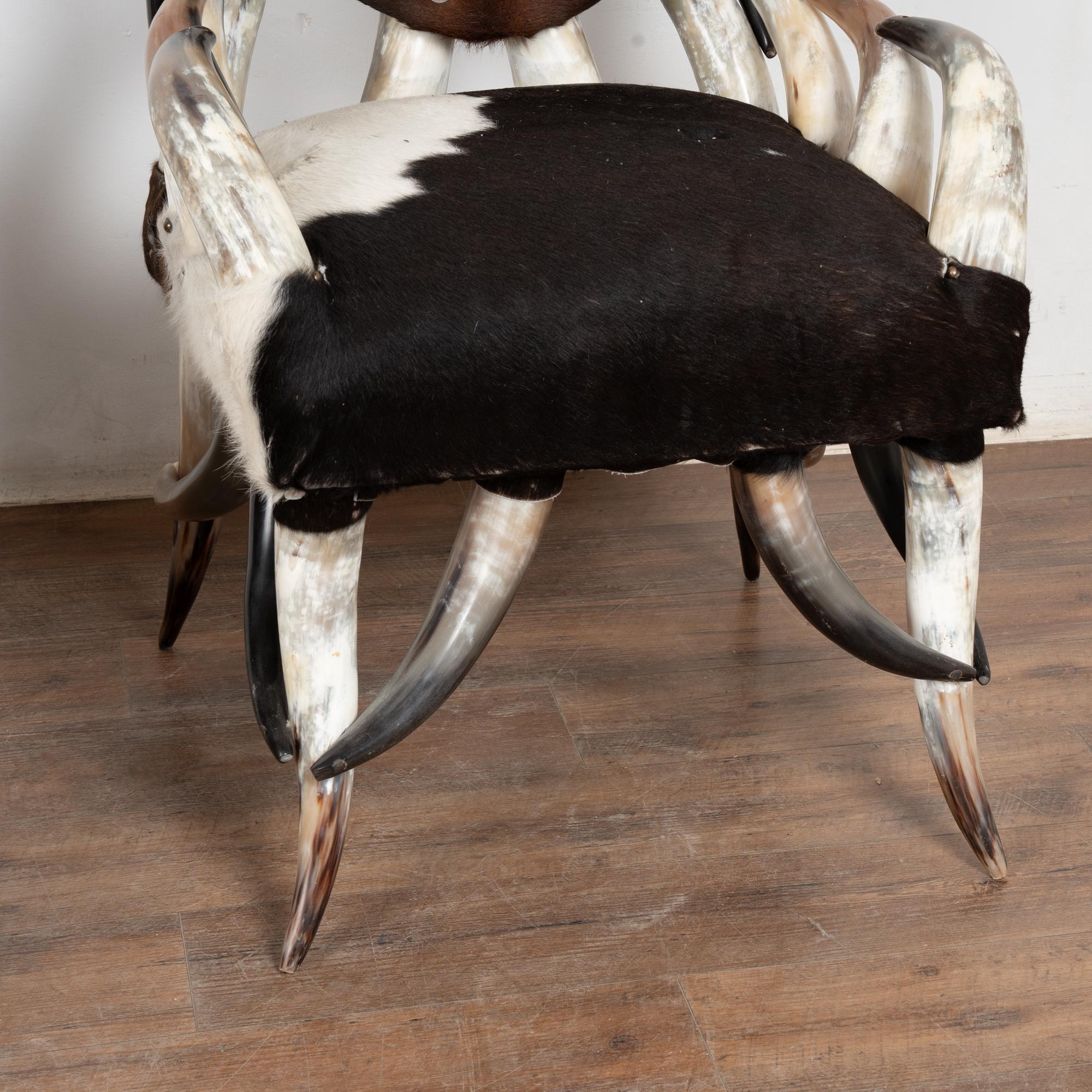 20th Century Set (5) of Horn and Hide Armchairs, Ottomans and Side Table en vente 7