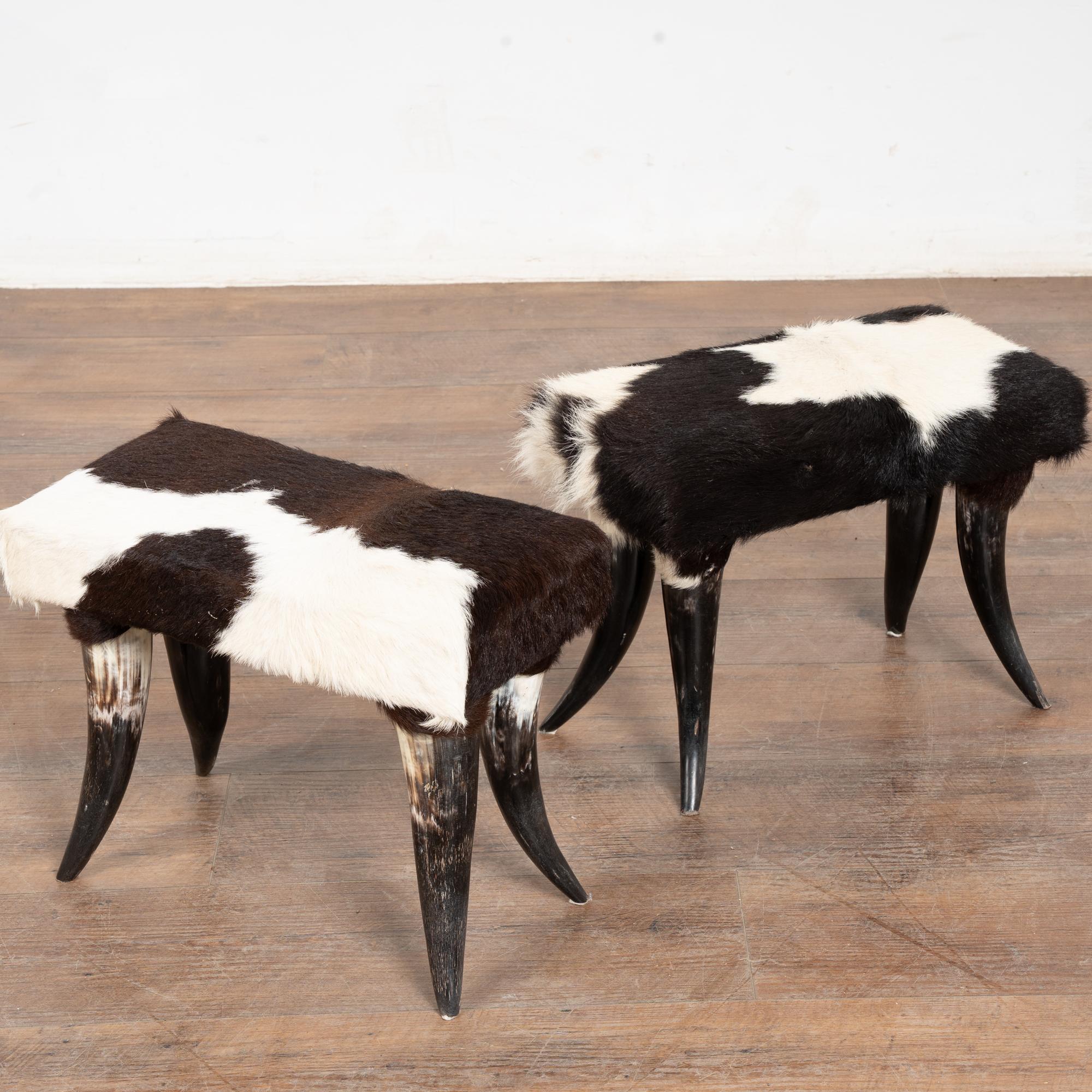 Américain 20th Century Set (5) of Horn and Hide Armchairs, Ottomans and Side Table en vente