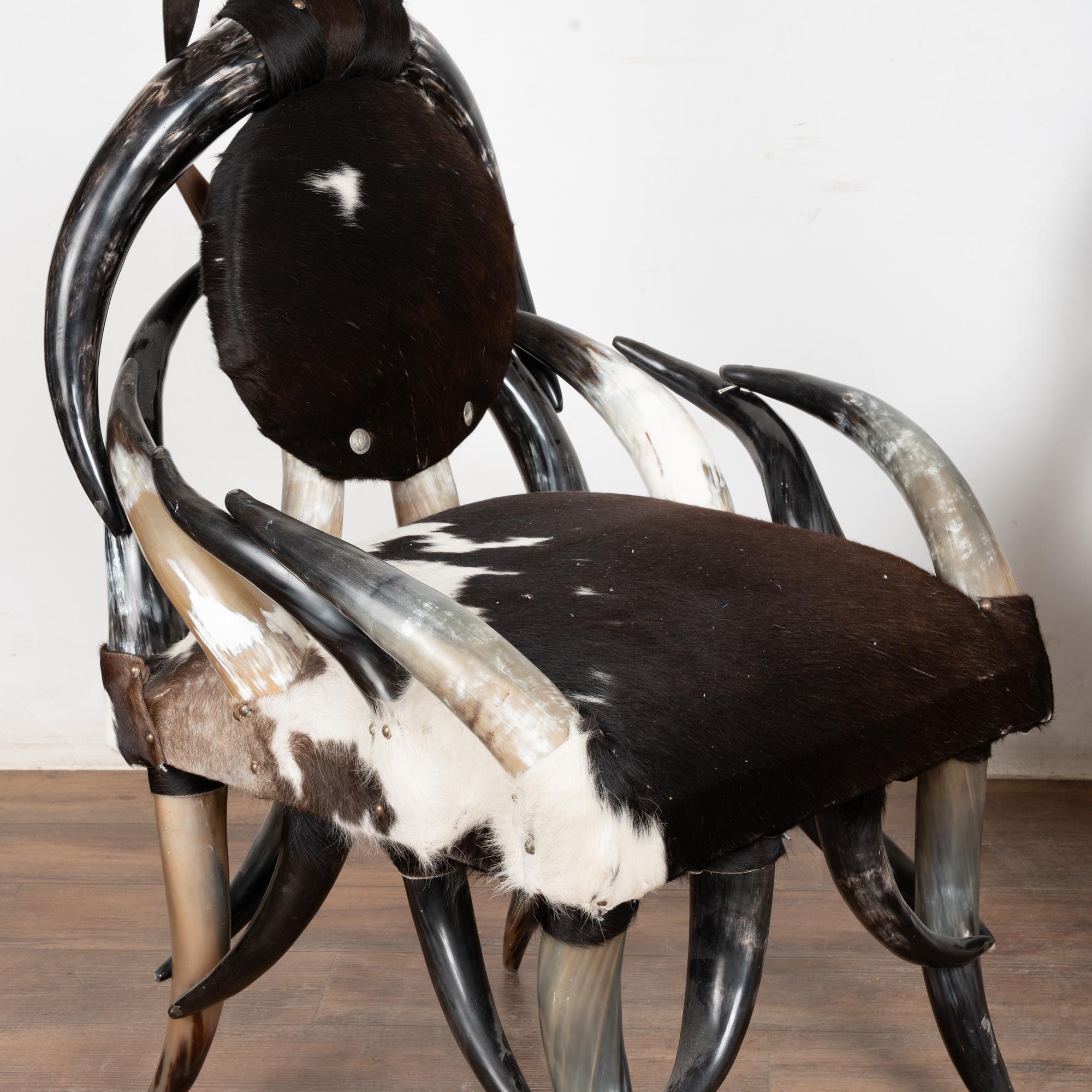 20th Century Set (5) of Horn and Hide Armchairs, Ottomans and Side Table en vente 1