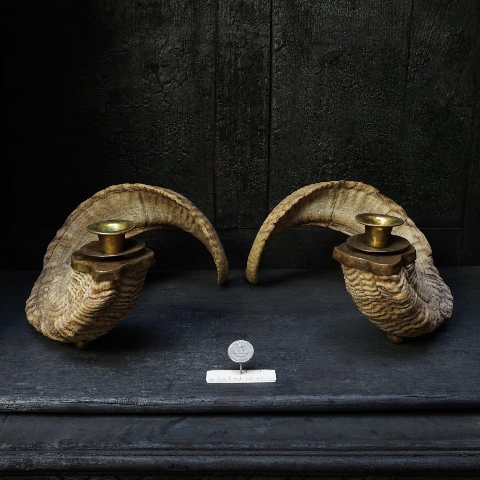 20th Century Set of Large Mouflon Bighorn Rams Horn Candleholders In Good Condition In Haarlem, NL