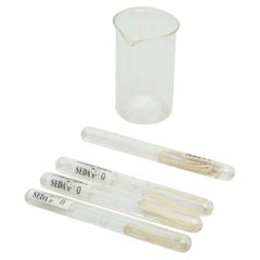 20th Century Set of Vintage Surgical Seams