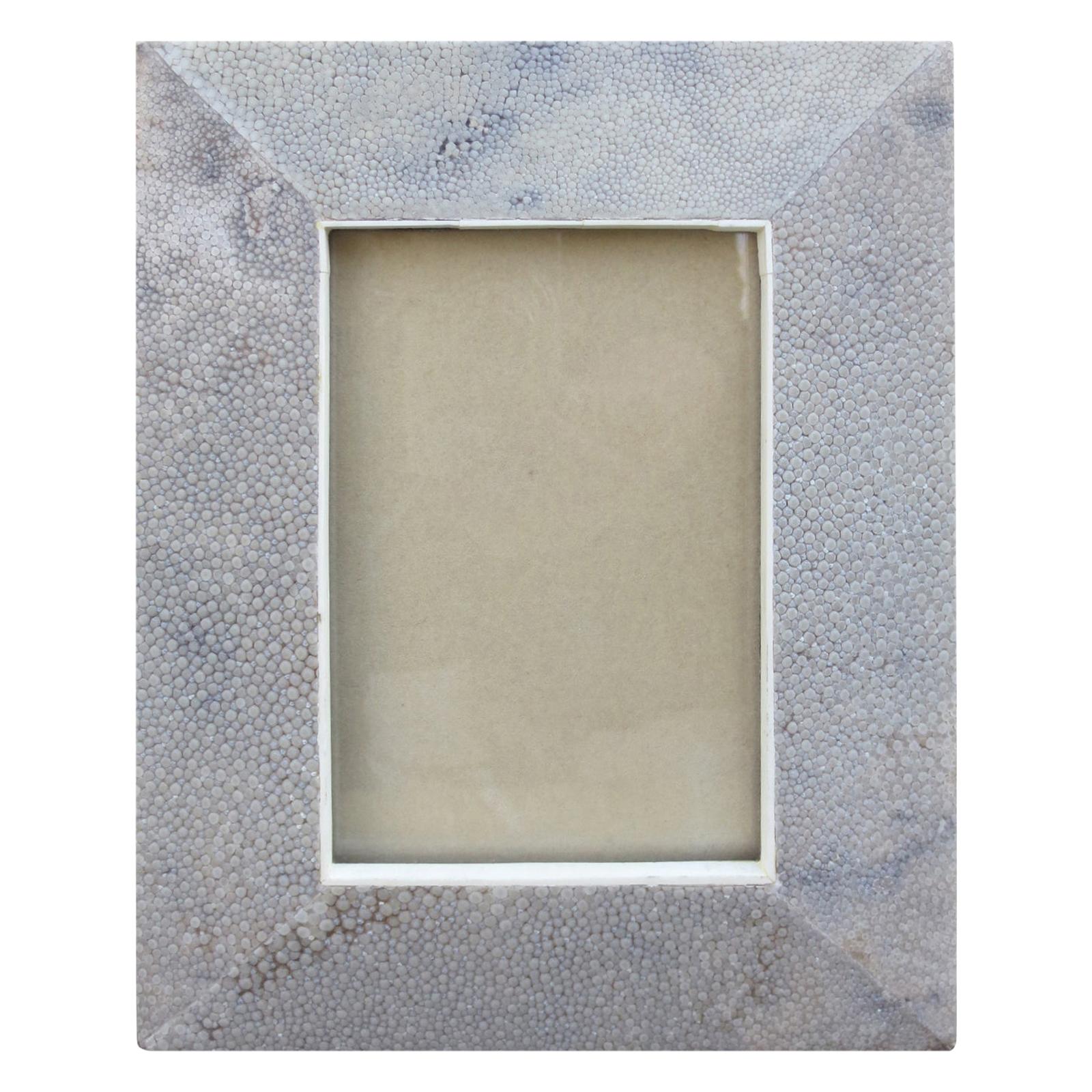 20th Century Shagreen Picture Frame