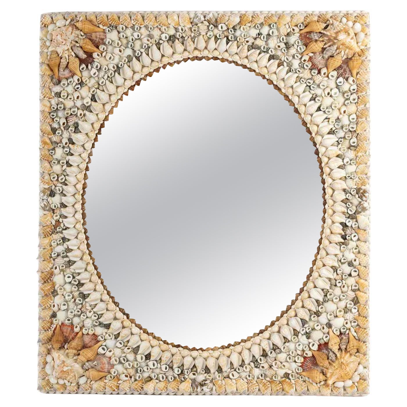 Muschelspiegel des 20. Jahrhunderts.