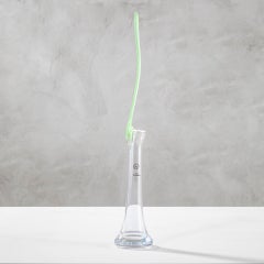 20th Century, Shiro Kuramata Vase Mod. Ikebana, Small in Glass by '80s