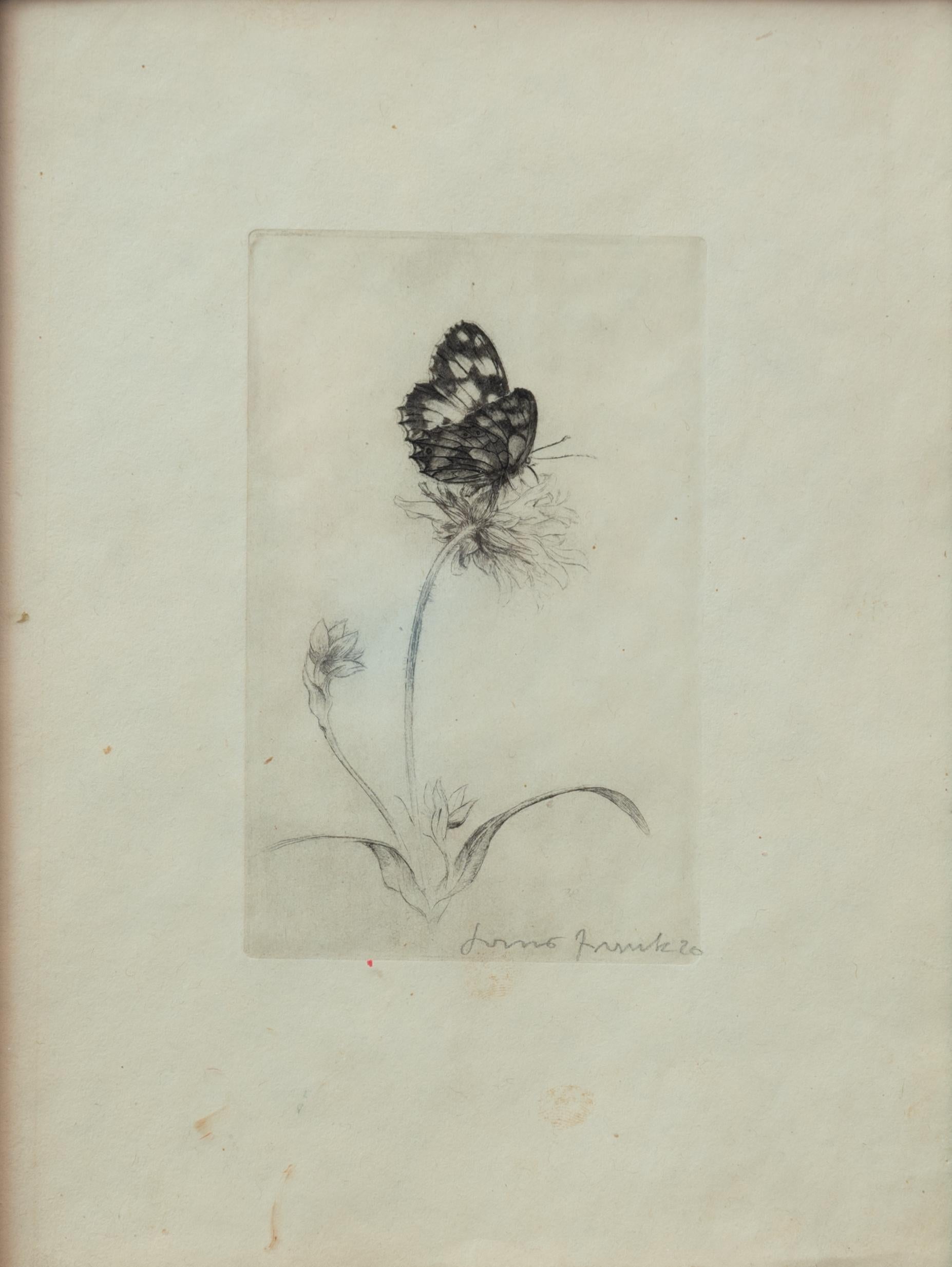 Beautiful, evocative Pencil Drawing 
Still Life with Flowers and Butterfly 
Early 20th century 
Signed at lower right
The painting is embellished by a beautiful nineteenth-century lacquered and gilded frame

Every item of our Gallery, upon request,