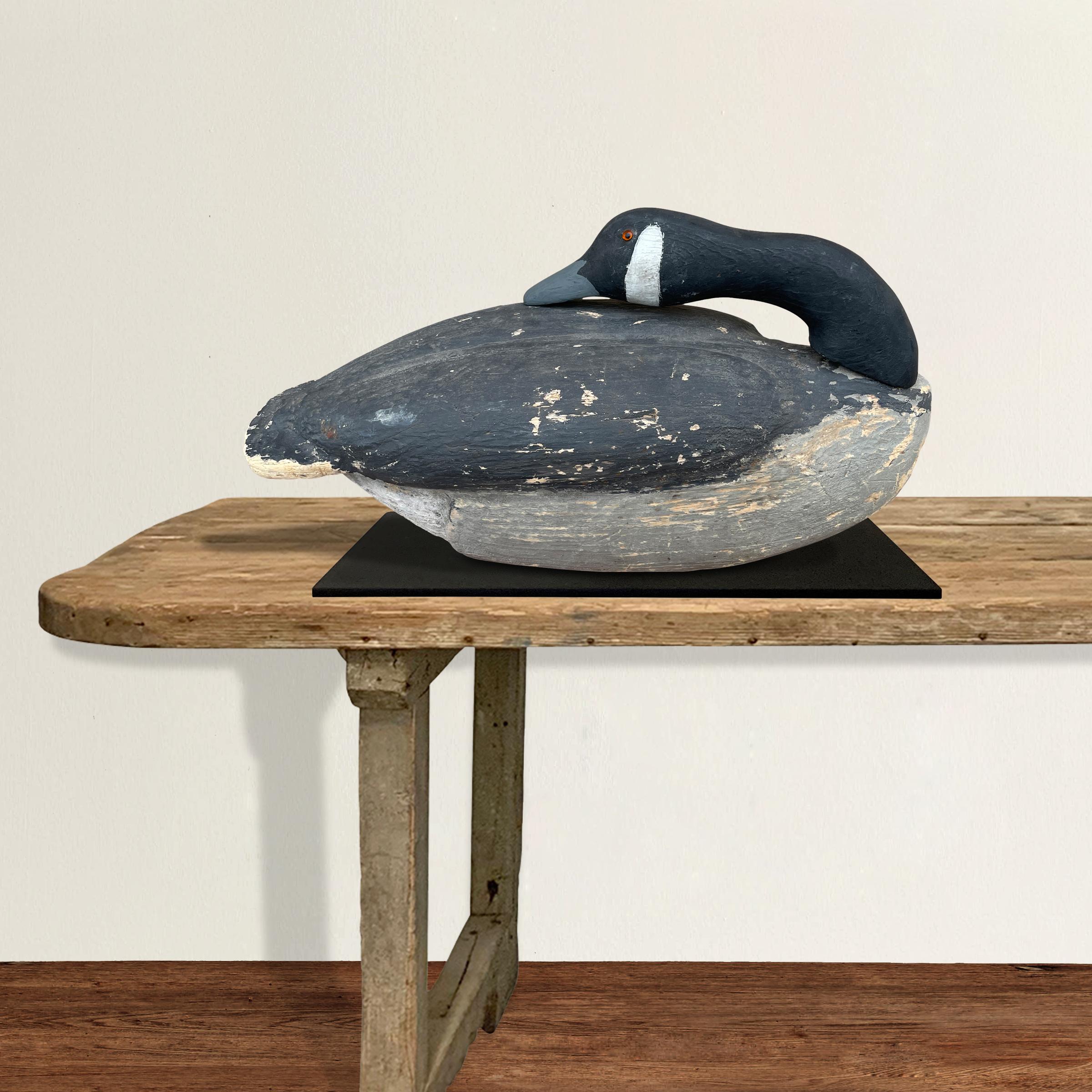 A beautiful 20th century American life-size sleeping Canada Goose decoy with its original paint, a removable head and neck, and glass eyes, on a custom steel mount.