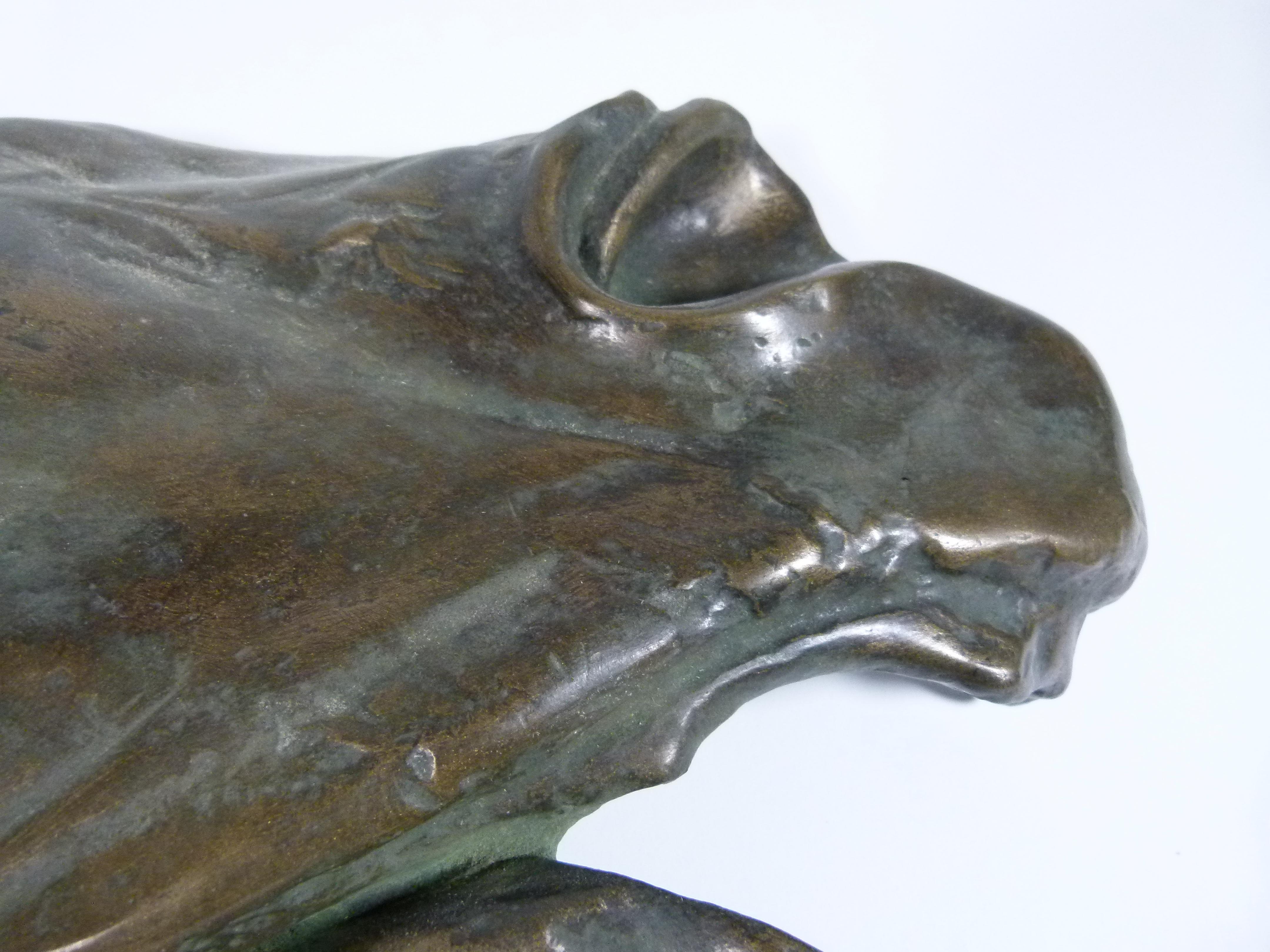 20th Century Bronze Galvanized Terracotta  Spanish Horse Head 6