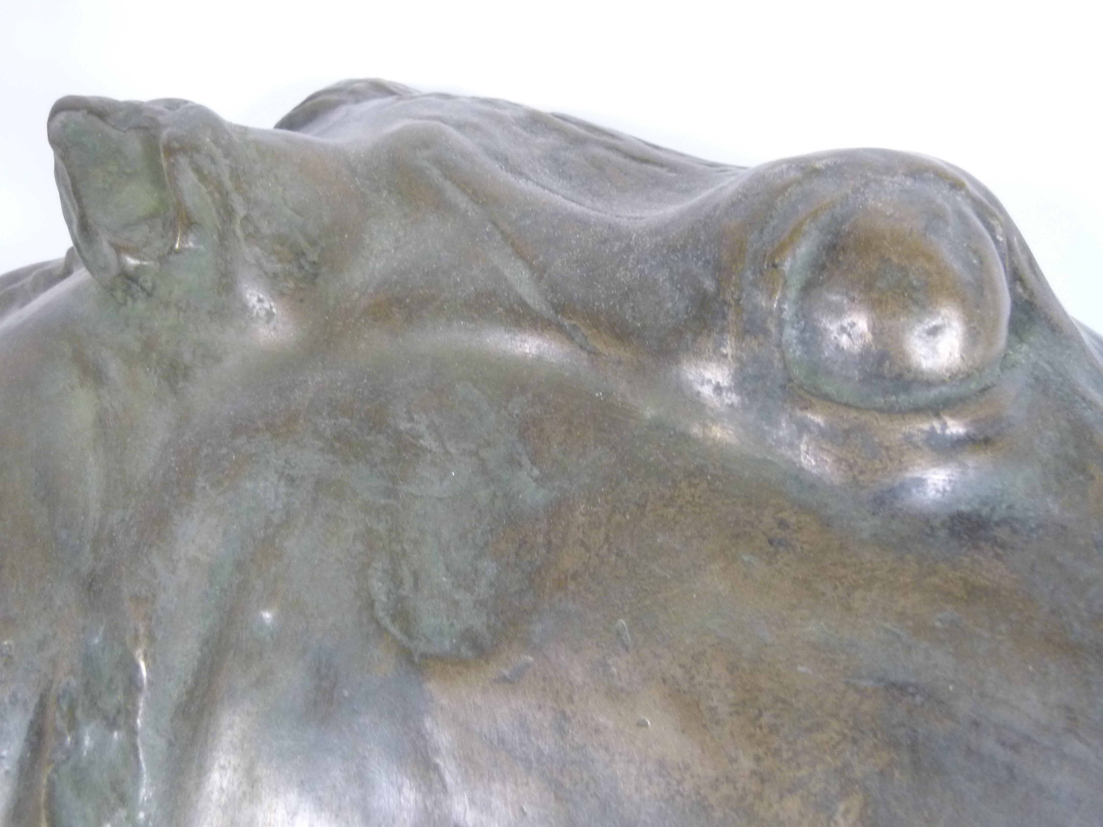 20th Century Bronze Galvanized Terracotta  Spanish Horse Head 7