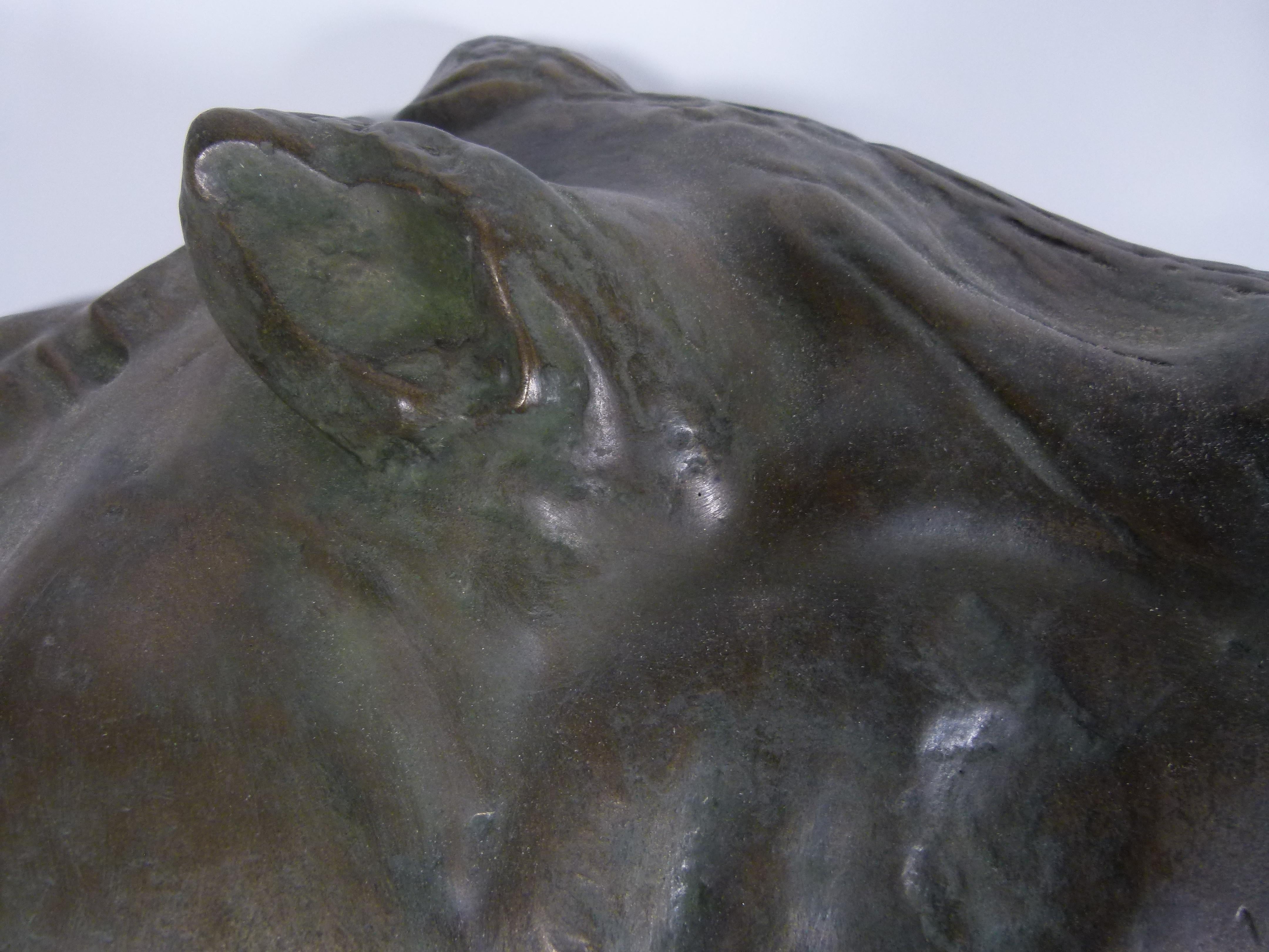 20th Century Bronze Galvanized Terracotta  Spanish Horse Head 8
