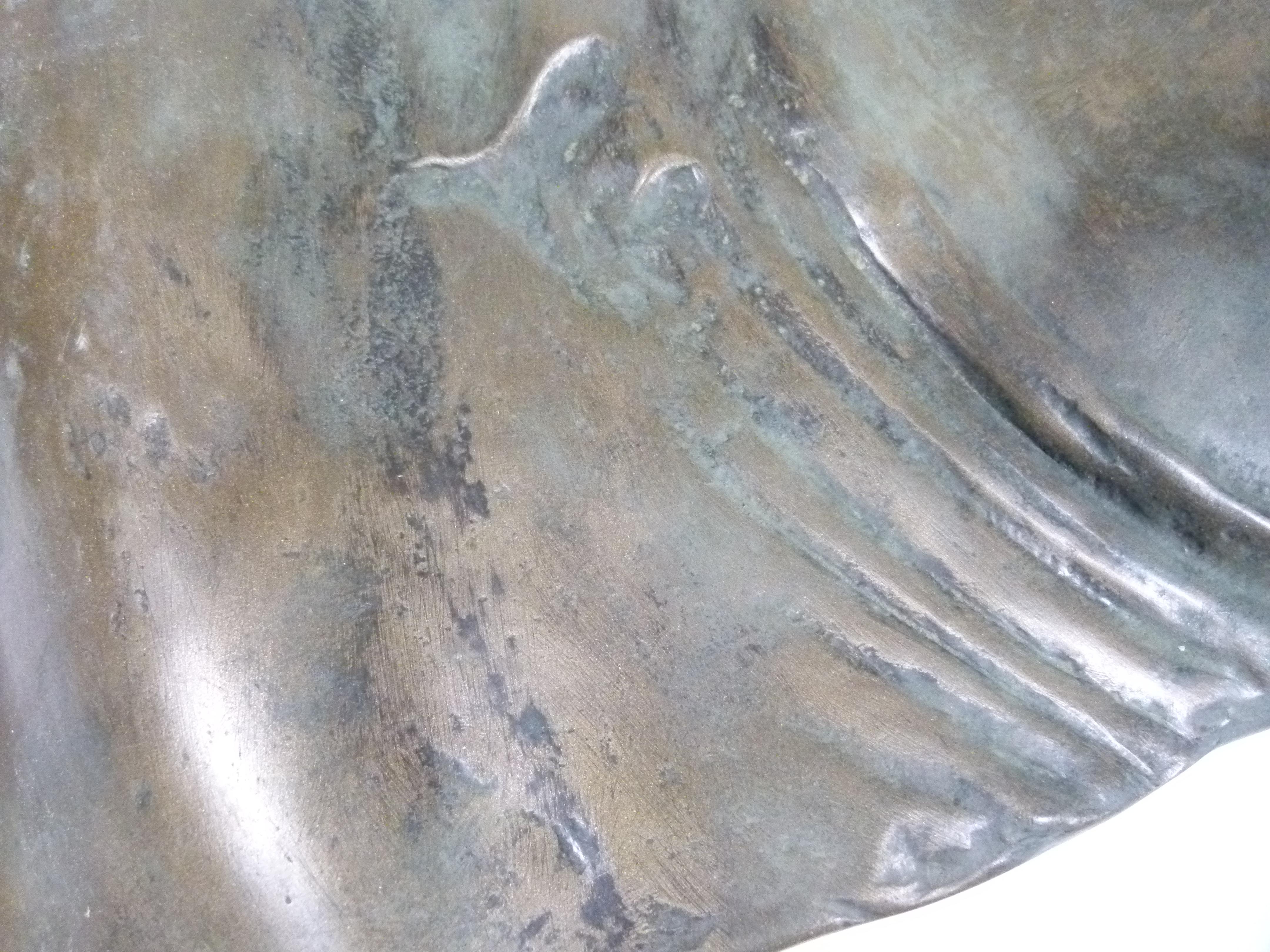 20th Century Bronze Galvanized Terracotta  Spanish Horse Head 1