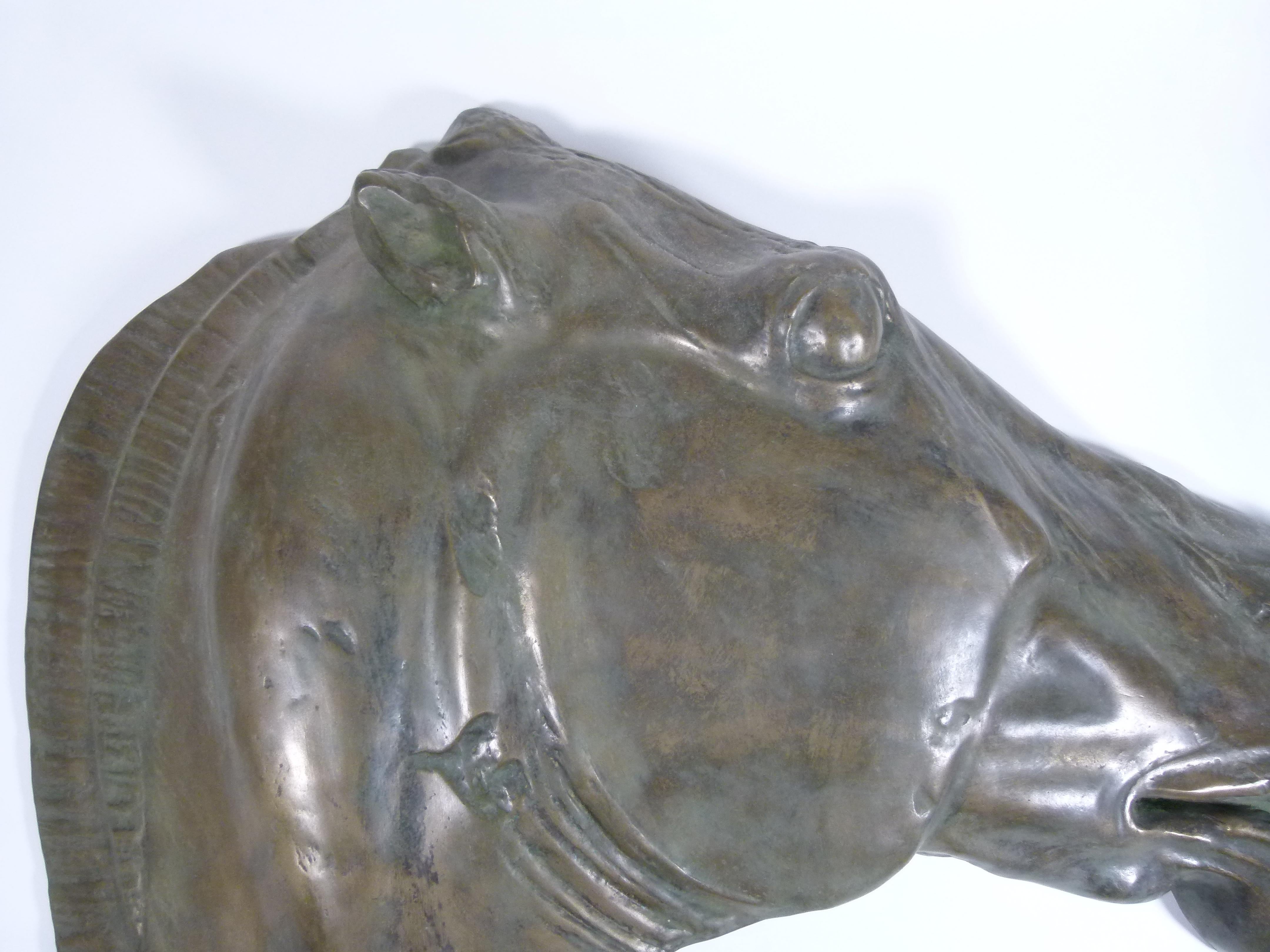 20th Century Bronze Galvanized Terracotta  Spanish Horse Head 3