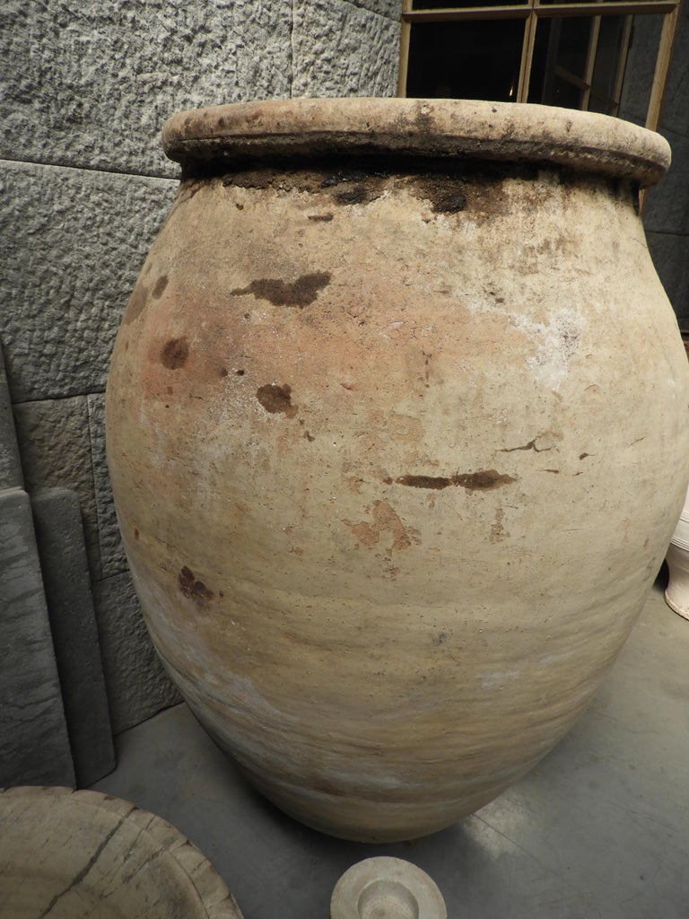 20th Century Spanish Olive Jar For Sale at 1stDibs