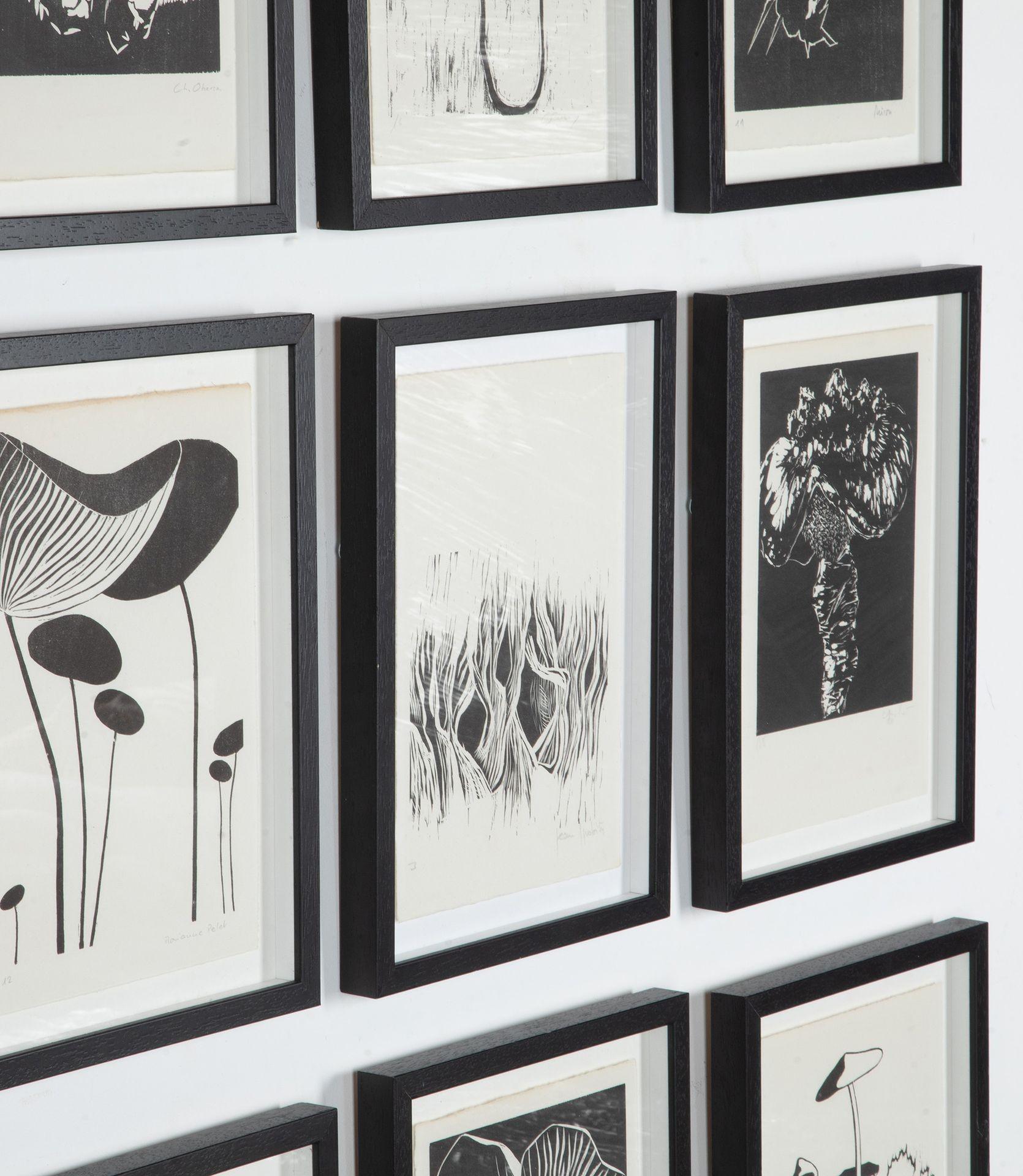 Collection suisse du 20ème siècle de gravures sur bois de champignons en vente 6