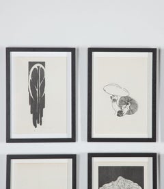 20th Century Swiss Collection of Mushroom Woodcut Prints