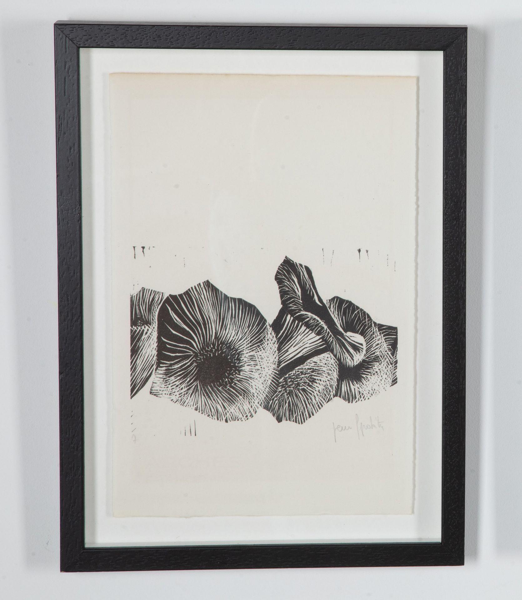 Collection suisse du 20ème siècle de gravures sur bois de champignons Bon état - En vente à Gloucestershire, GB