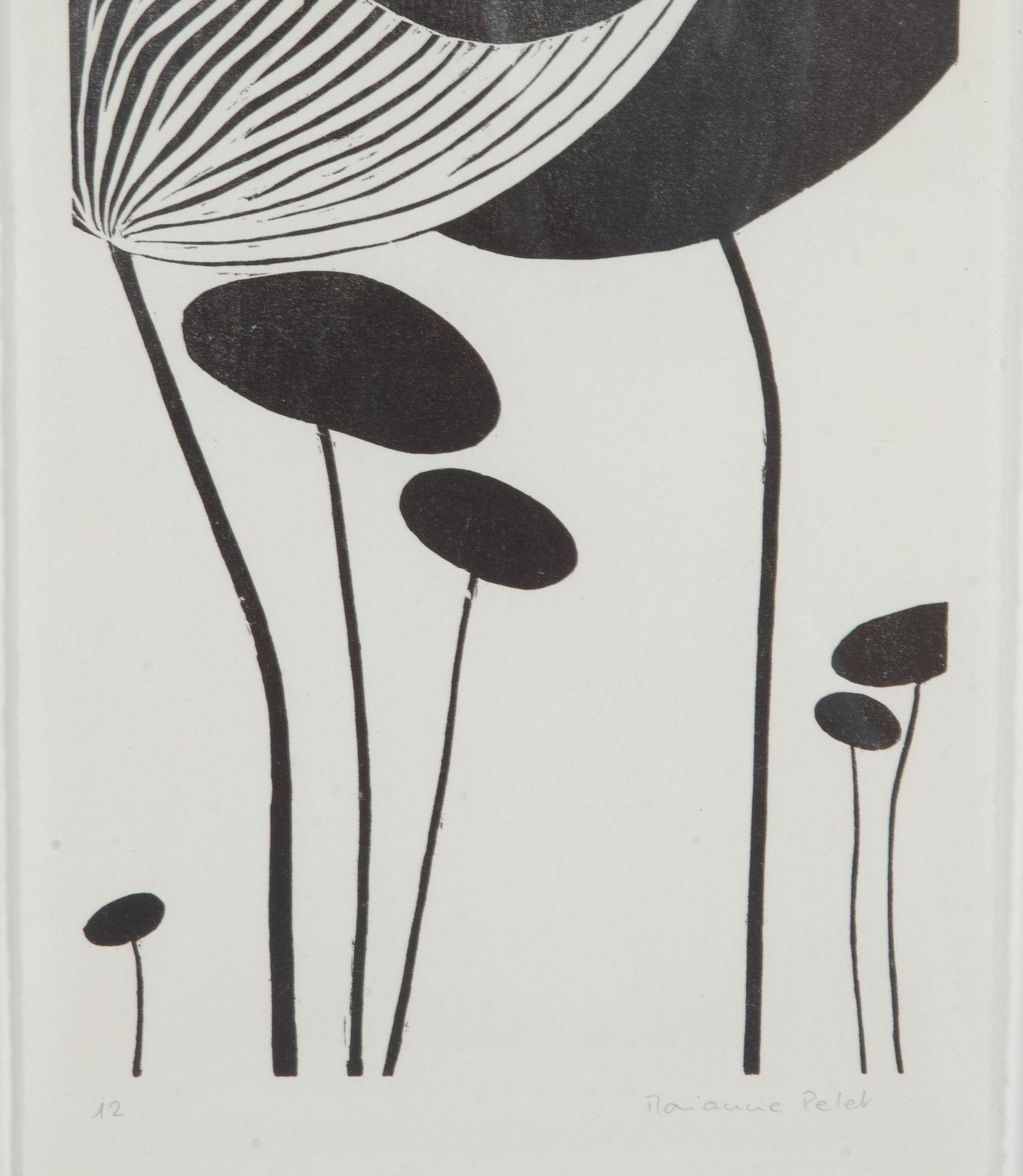Fin du 20e siècle Collection suisse du 20ème siècle de gravures sur bois de champignons en vente