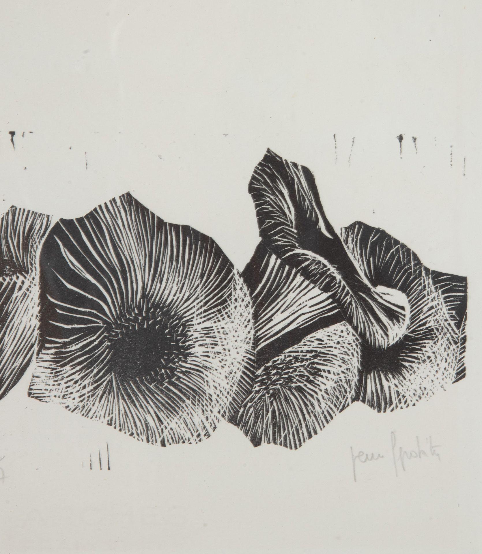 Collection suisse du 20ème siècle de gravures sur bois de champignons en vente 3