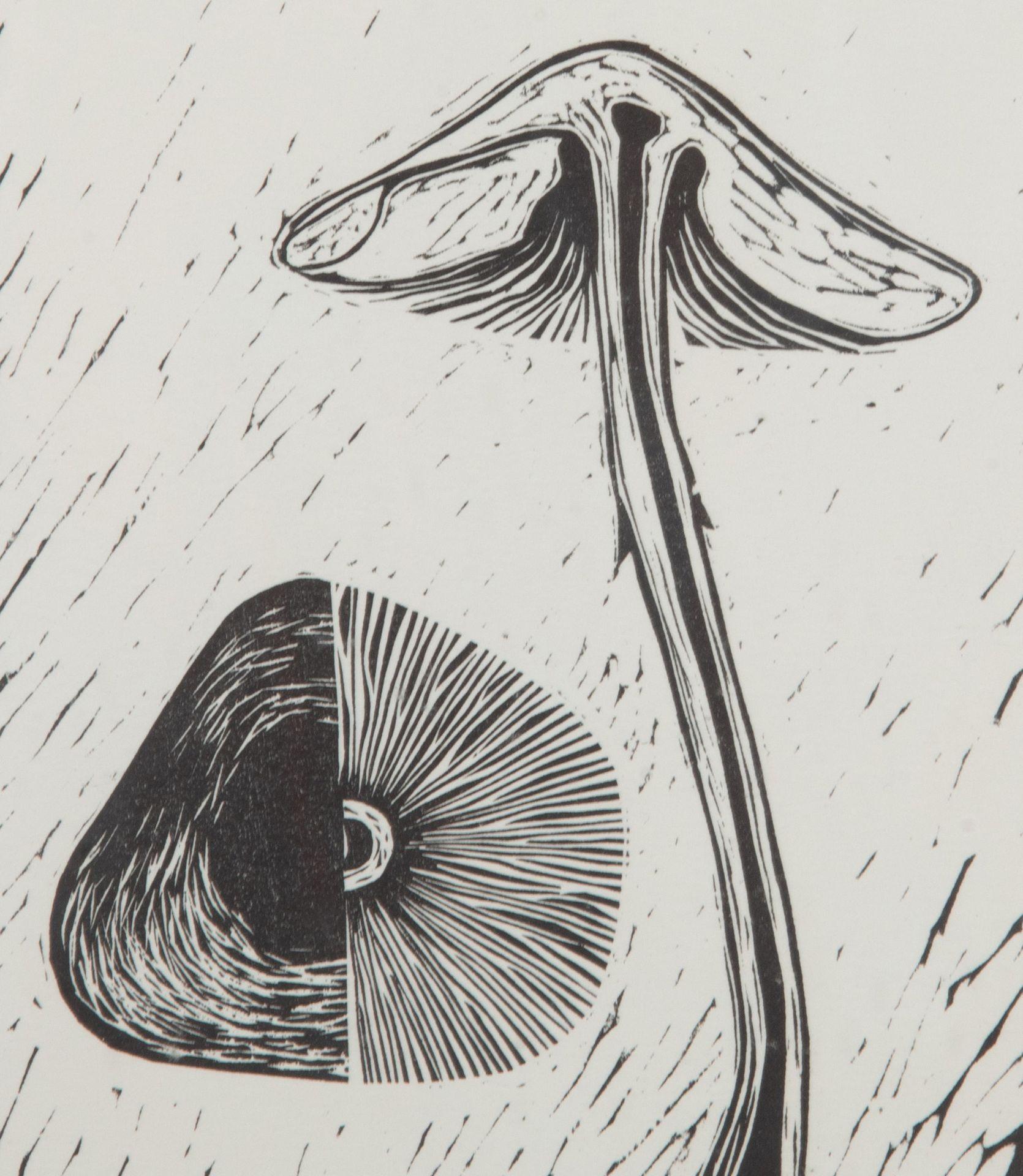 Collection suisse du 20ème siècle de gravures sur bois de champignons en vente 4