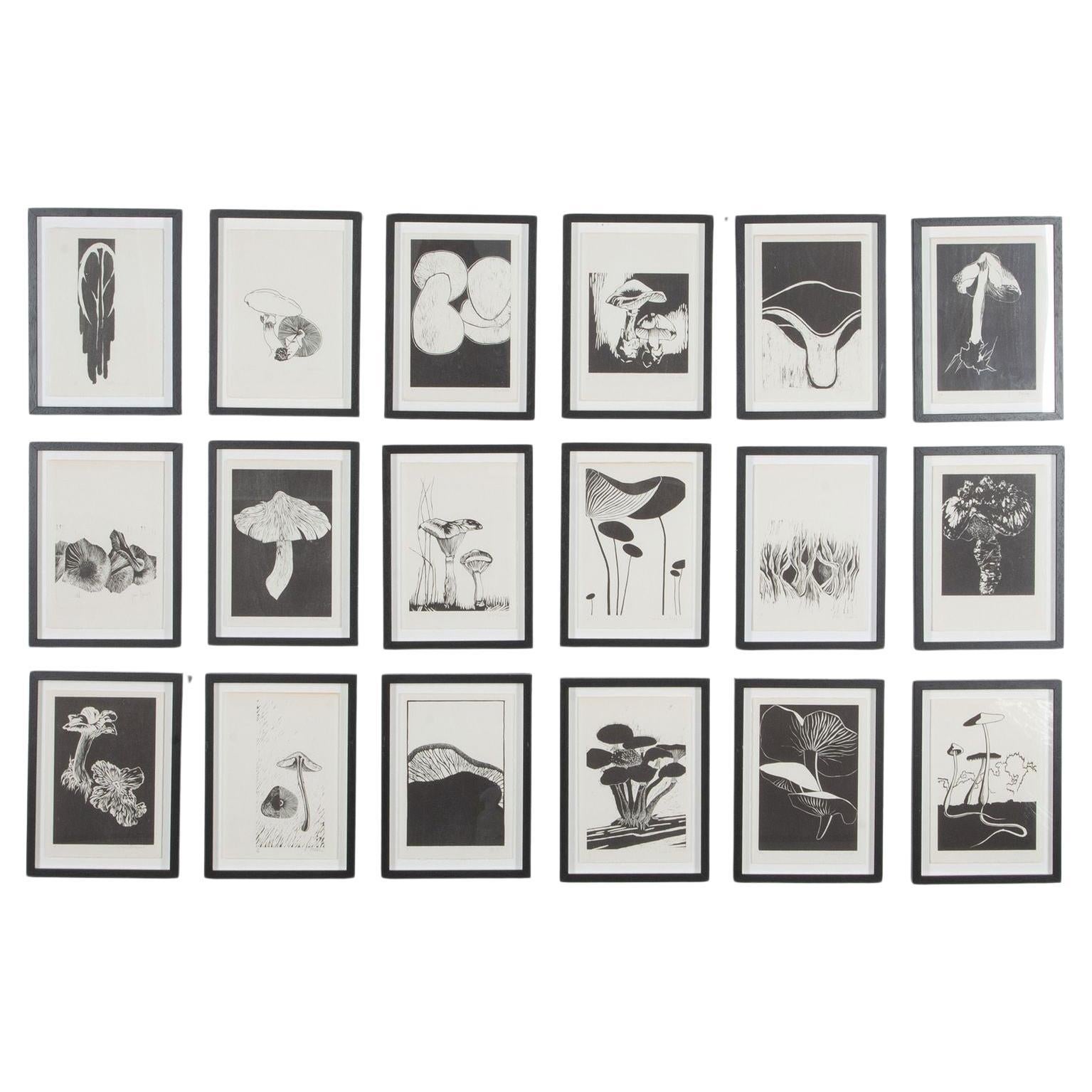 20th Century Swiss Collection of Mushroom Woodcut Prints