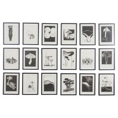 20th Century Swiss Collection of Mushroom Woodcut Prints