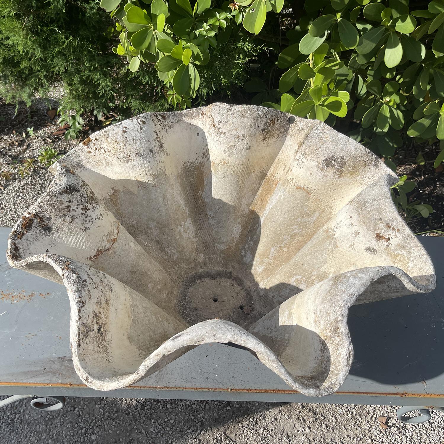 Fatto a mano Fioriera da giardino biomorfa in cemento del XX secolo di Willy Guhl in vendita