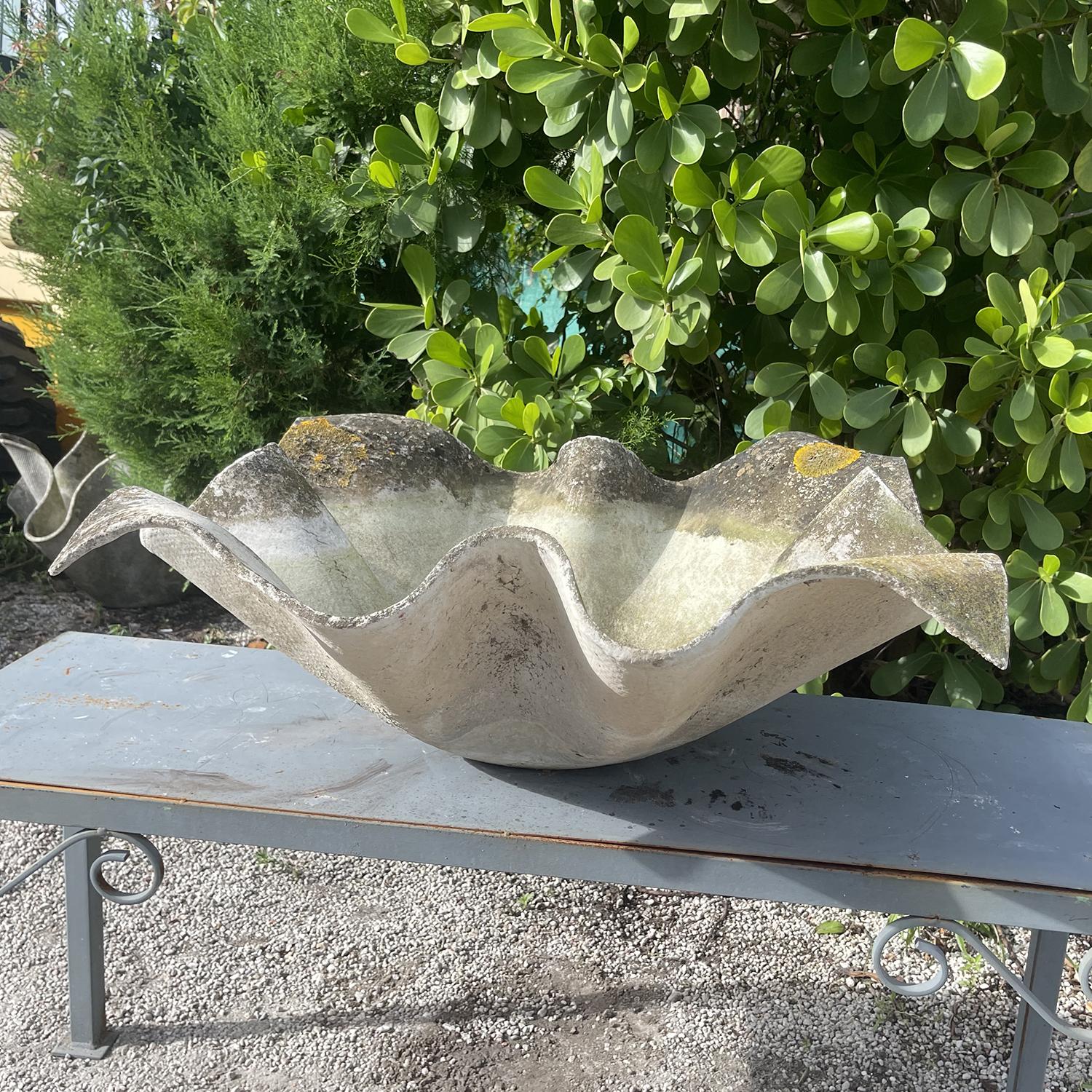 Mid-Century Modern Jardinière en ciment à oreilles d'éléphant du 20e siècle suisse moderne par Willy Guhl en vente