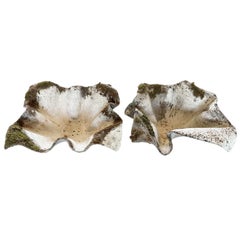 20th Century Swiss Pair of Vintage Elephant Ear Planters by Willy Guhl & Eternit