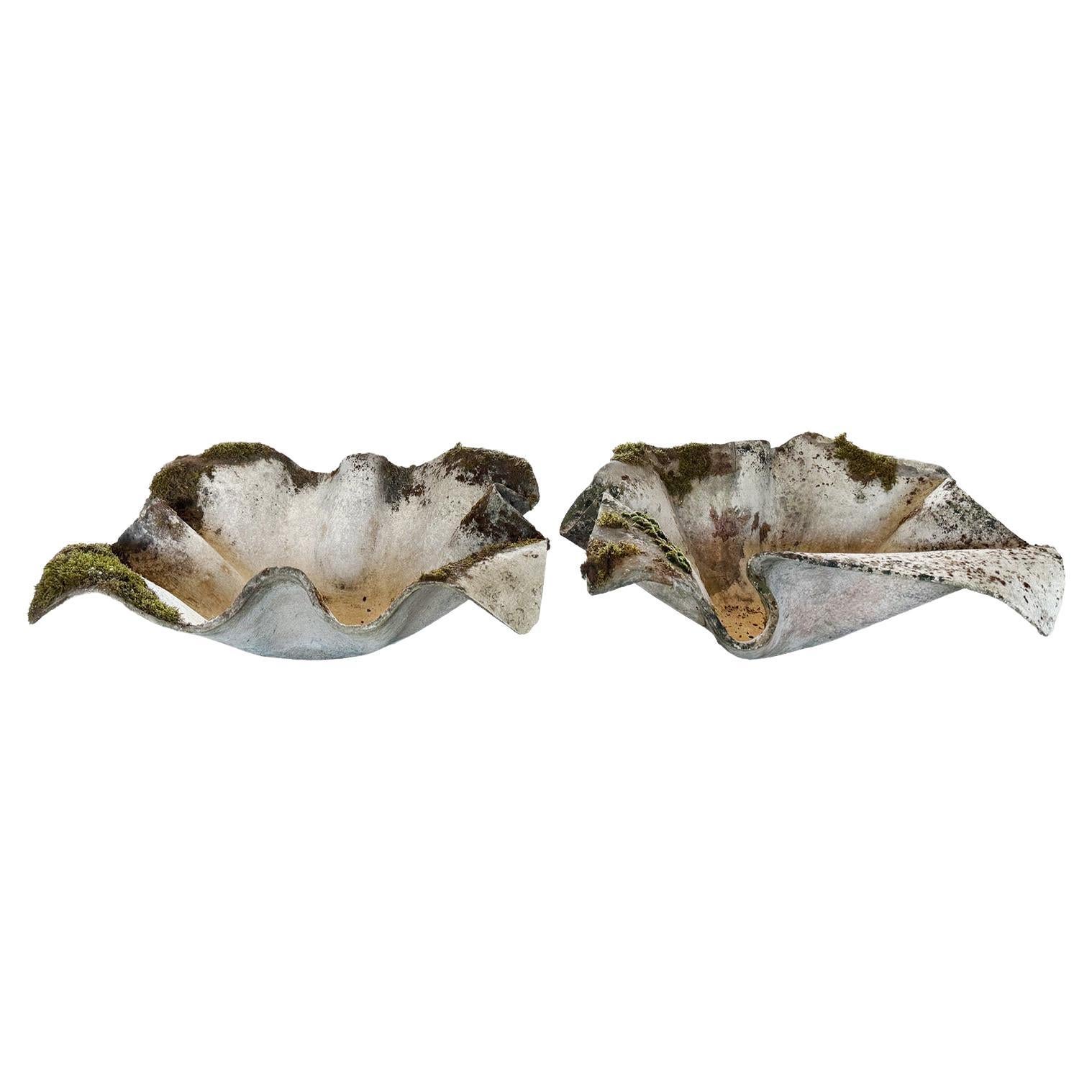 20th Century Swiss Pair of Vintage Elephant Ear Planters by Willy Guhl & Eternit