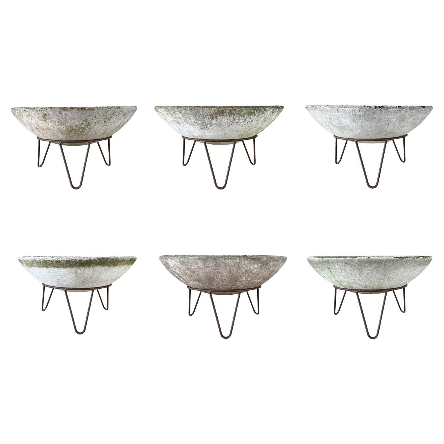 20e siècle Suisse Ensemble de six jardinières Vintage By sur une base en fer par Willy Guhl en vente