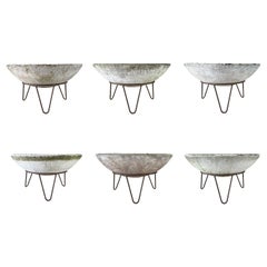 Planters and Jardinieres