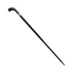 Canna da spada del XX secolo