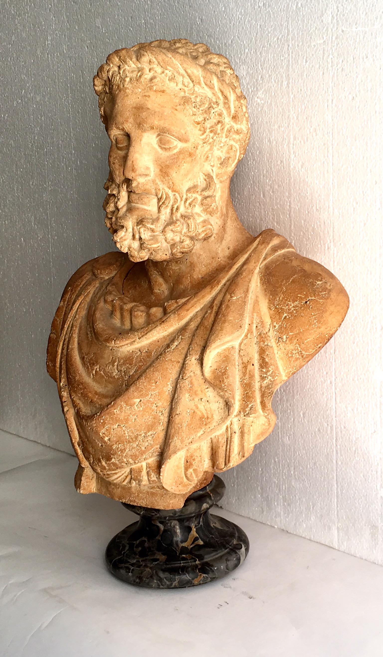 20th Century Terracotta Italian Bust of Emperor 4