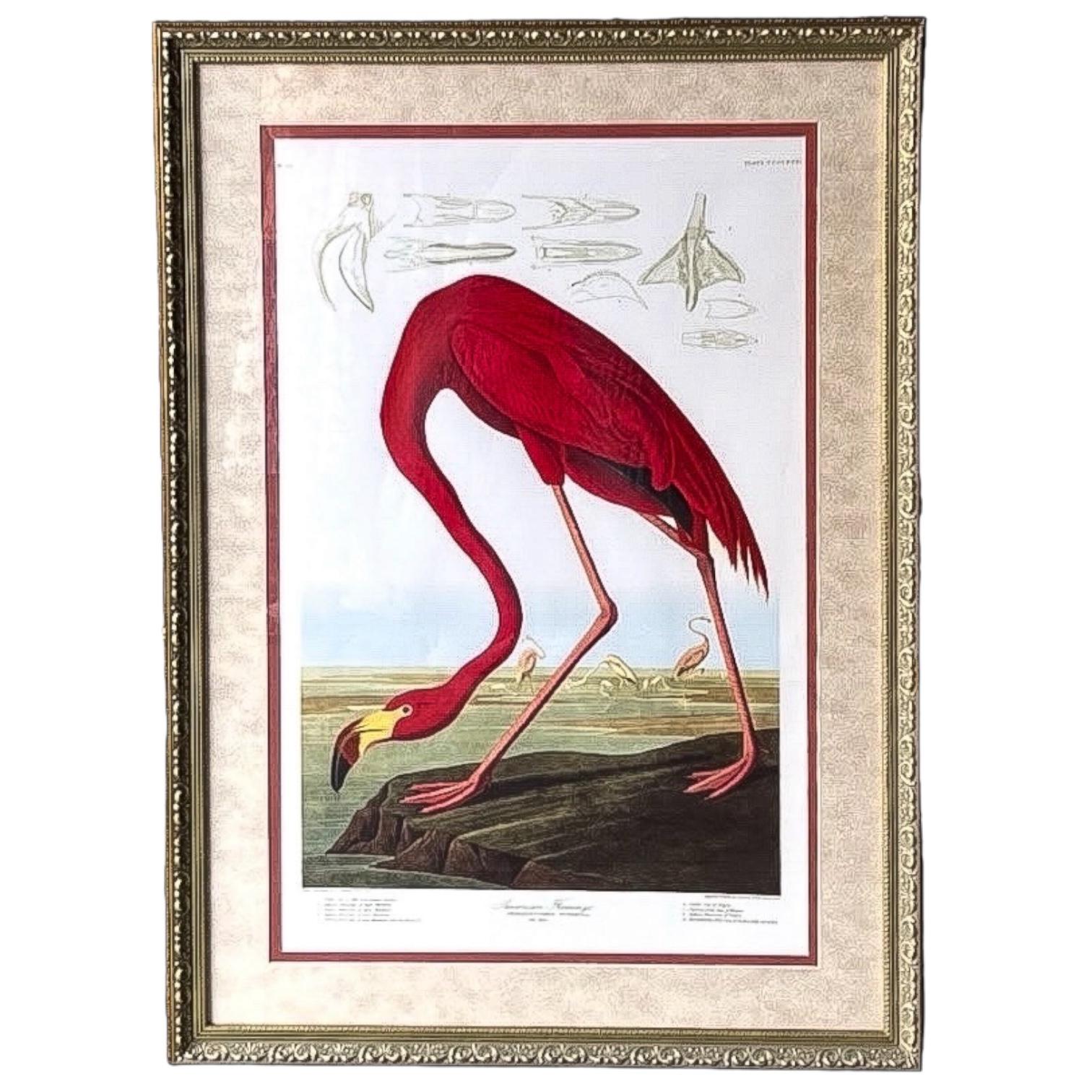 20ième siècle Impression de flamants américains encadrée de style tropical du 20e siècle par John J. Audubon en vente