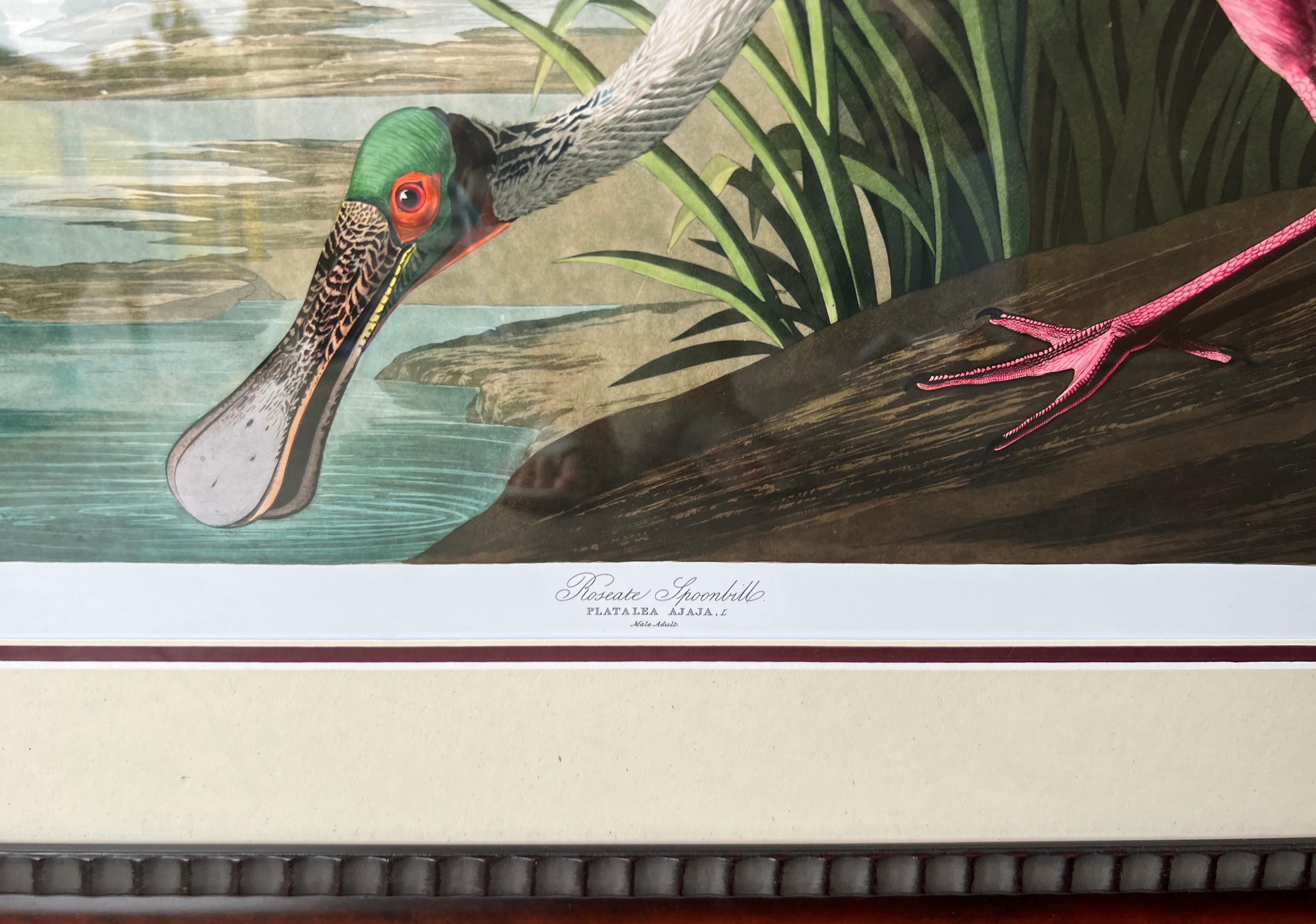 20th Century Tropical Framed Roseate Spoonbill Bird Print By John J. Audubon  In Good Condition In Kennesaw, GA