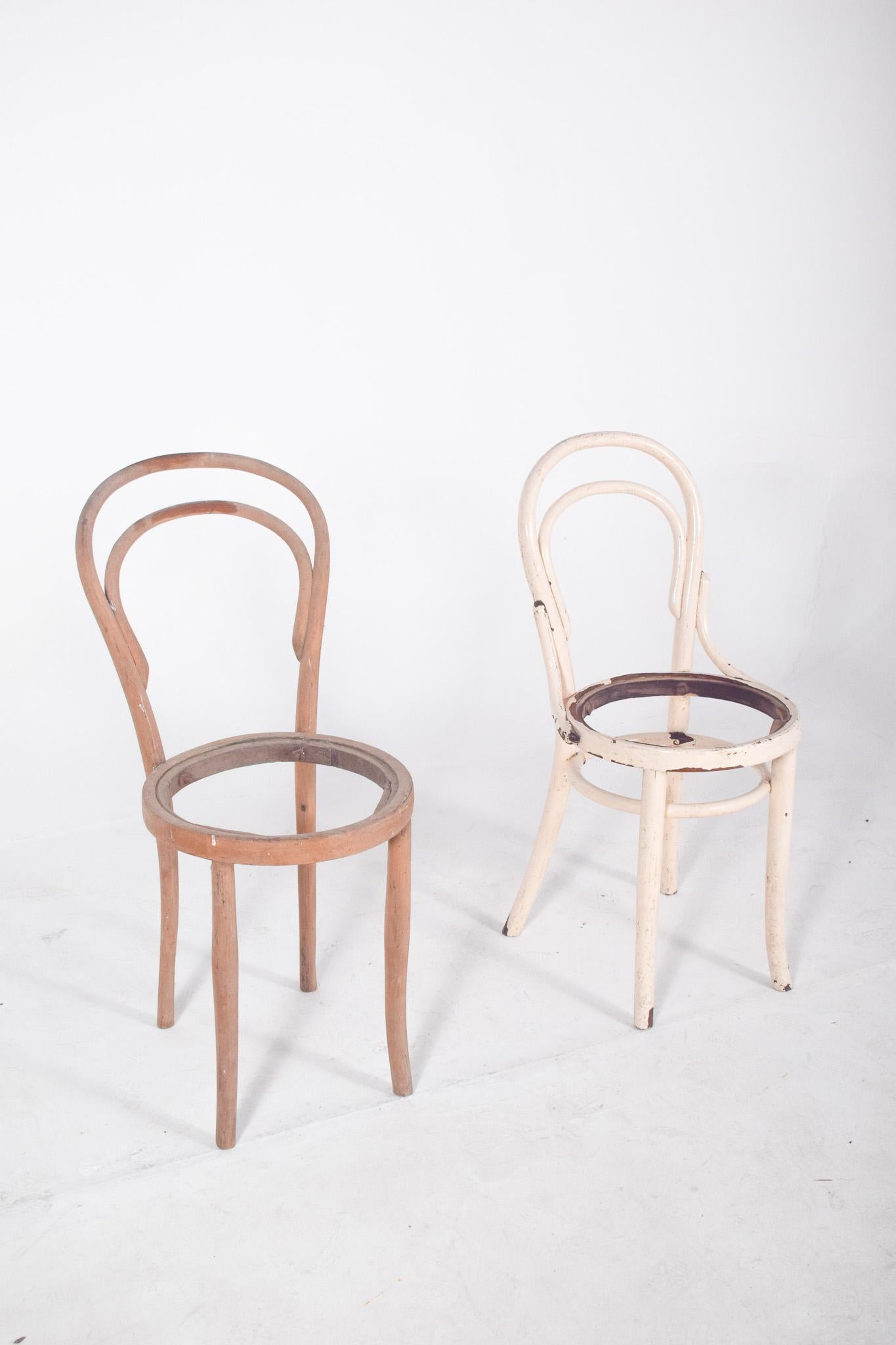 Deux chaises de style Thonet. Classiques du design européen du XIXe siècle, ils se caractérisent par leur légèreté, leur solidité et leurs formes organiques obtenues grâce à la technique innovante du bois moulé. Le dossier à double arche et l'assise
