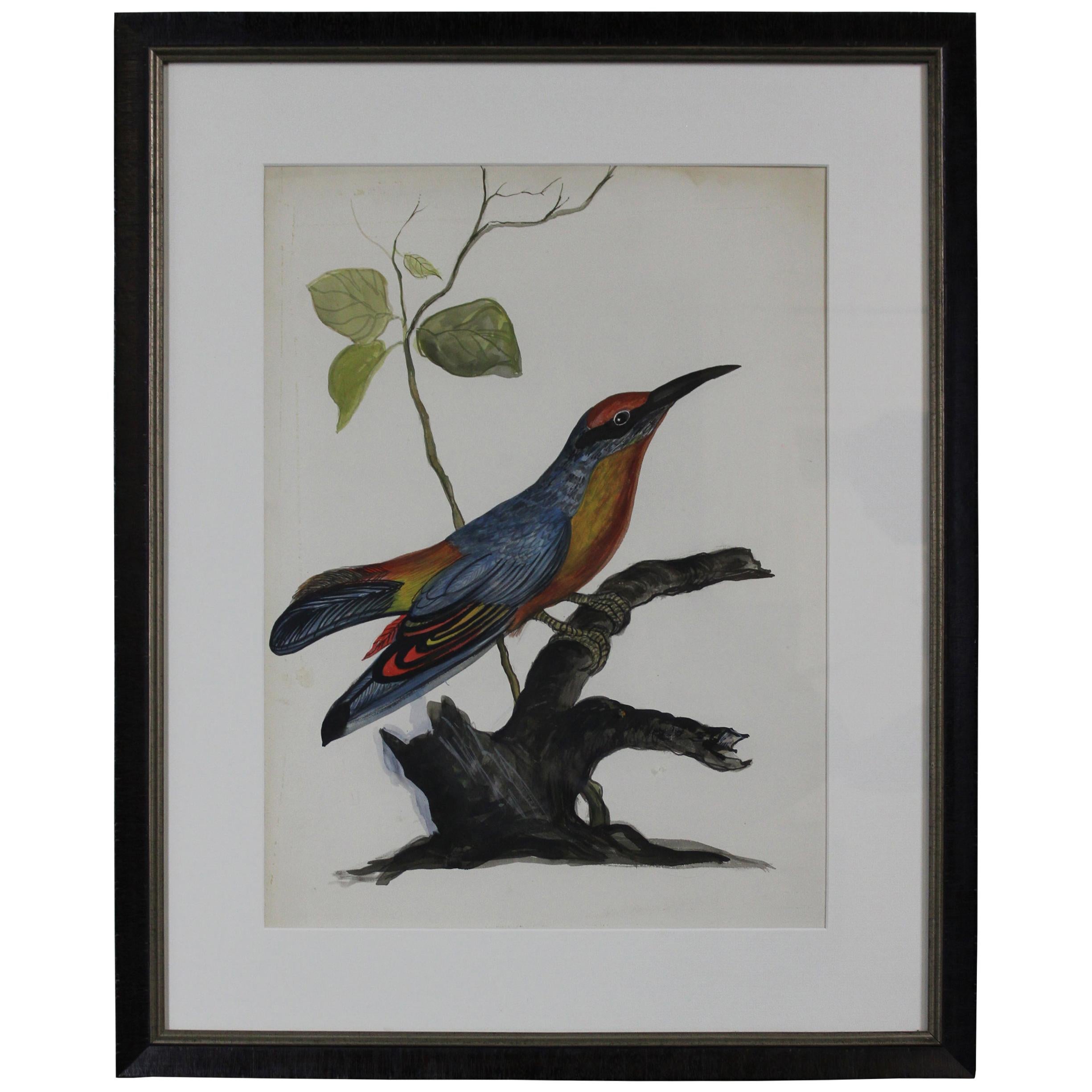 20th Century Vintage Woodpecker Bird Colorful Watercolor Painting Framed