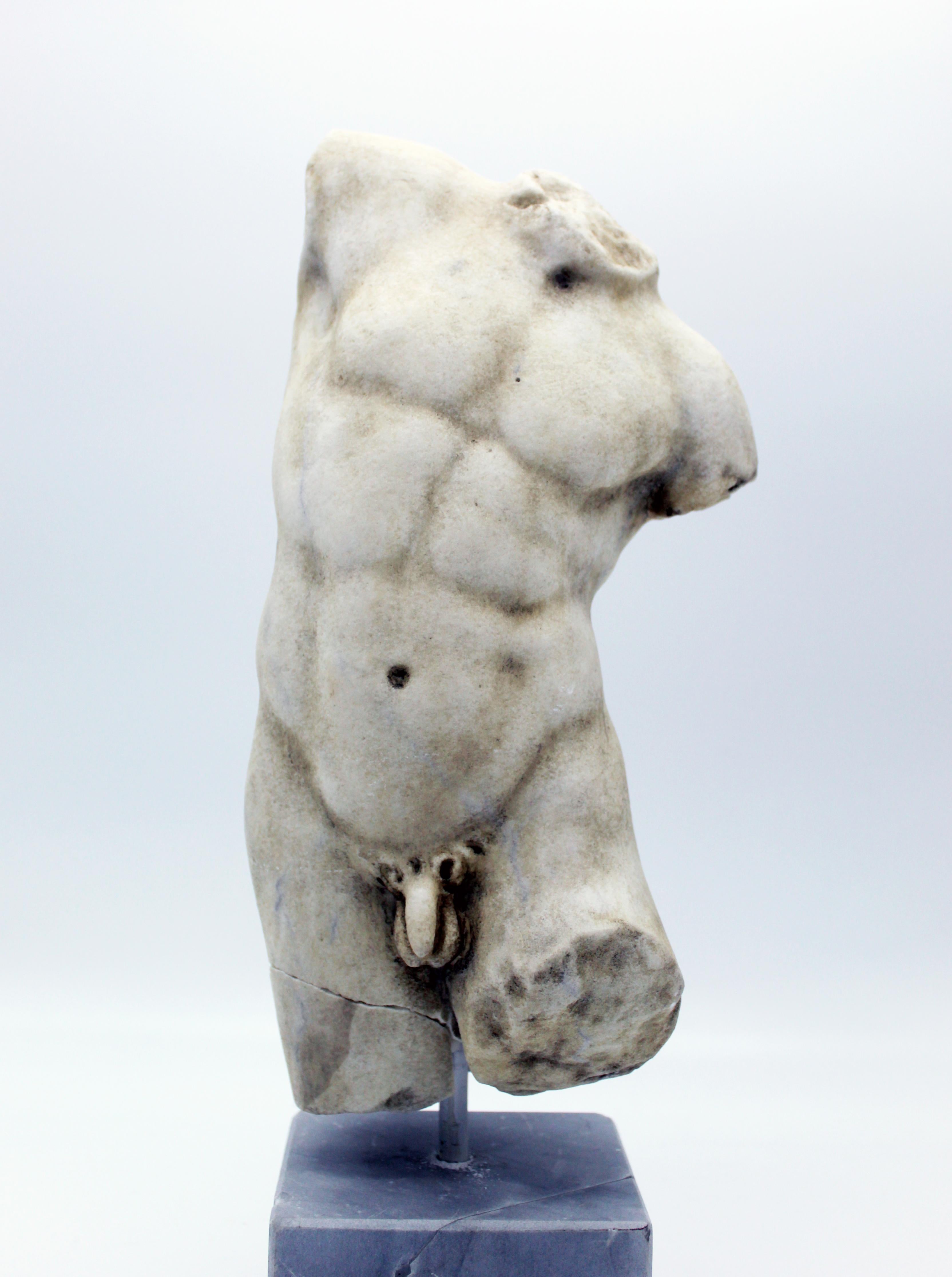 torso of apollo sculpture