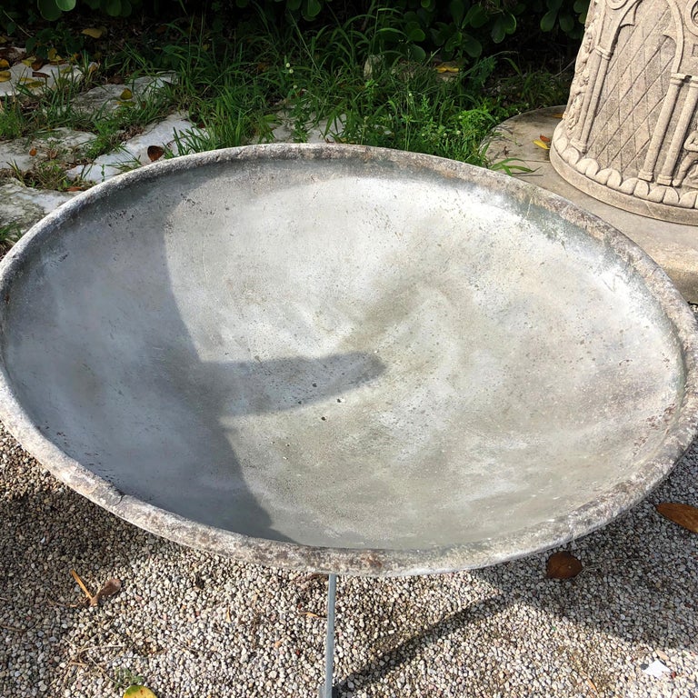 20th Century Willy Guhl Very Large Saucer Planter For Sale at 1stDibs