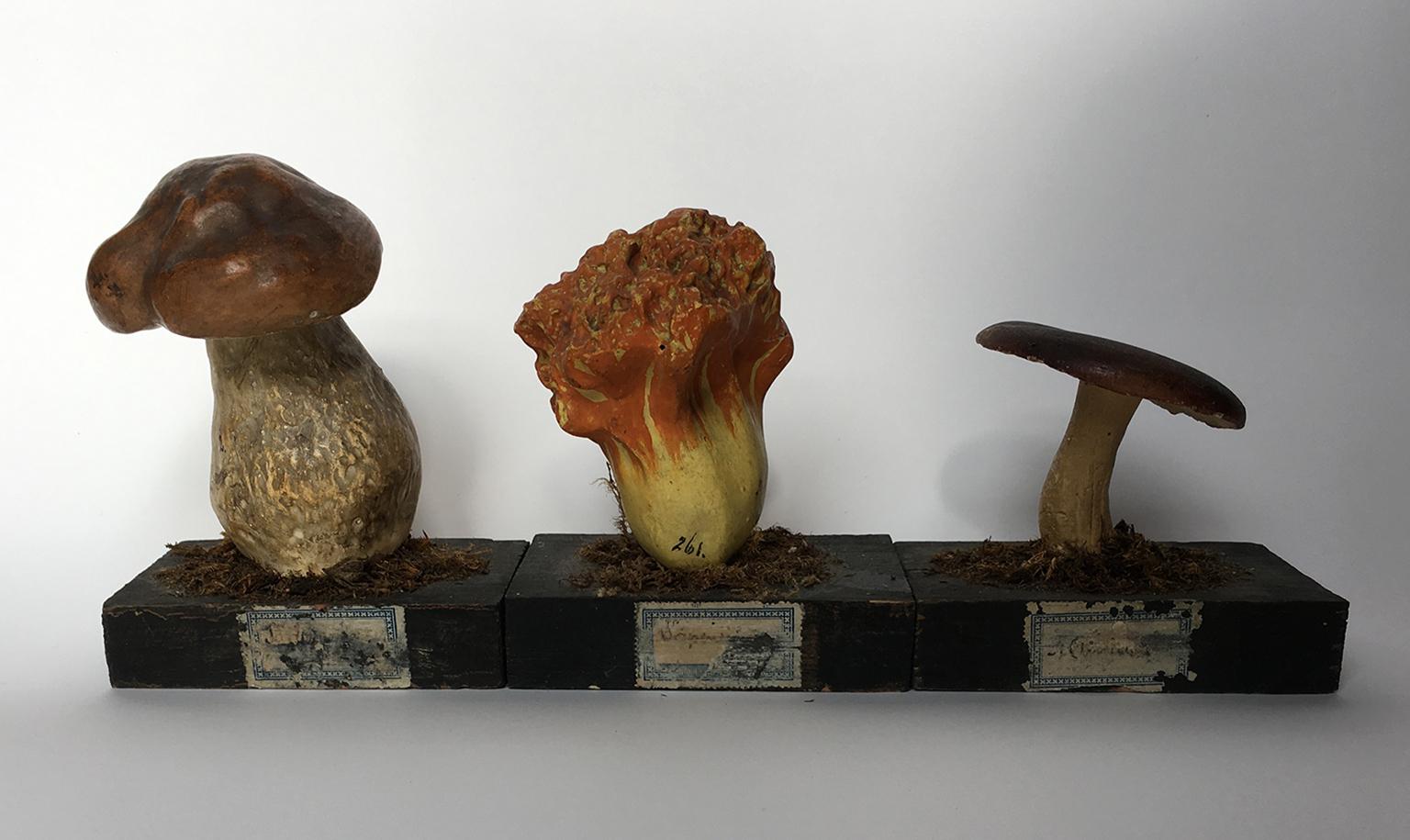 painted wood mushrooms